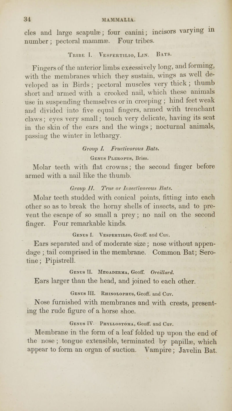 cles and large scapulae; four canini; incisors varying in number ; pectoral mammae. Four tribes. Tribe I. Vespertilio, Lin. Bats. Fingers of the anterior limbs excessively long, and forming, with the membranes which they sustain, wings as well de- veloped as in Birds; pectoral muscles very thick; thumb short and armed with a crooked nail, which these animals use in suspending themselves or in creeping ; hind feet weak and divided into five equal fingers, armed with trenchant claws; eyes very small; touch very delicate, having its seat in the skin of the ears and the wings; nocturnal animals, passing the winter in lethargy. Group I. Fruciivorous Bats. Genus Pleropus, Briss. Molar teeth with flat crowns; the second finger before armed with a nail like the thumb. Group II. True, or Insectivorous Hats. Molar teeth studded with conical points, fitting into each other so as to break the horny shells of insects, and to pre- vent the escape of so small a prey; no nail on the second finger. Four remarkable kinds. Genus I. Vespertilio, Geoff, and Cuv. Ears separated and of moderate size; nose without appen- dage ; tail comprised in the membrane. Common Bat; Sero- tine; Pipistrell. Genus II. Megaderma, Geoff. Oreillard. Ears larger than the head, and joined to each other. Genus III. Rhinolophus, Geoff, and Cuv. Nose furnished with membranes and with crests, present- ing the rude figure of a horse shoe. Genus IV- Phyllostoma, Geoff, and Cuv. Membrane in the form of a leaf folded up upon the end of the nose; tongue extensible, terminated by papilla3, which appear to form an organ of suction. Vampire; Javelin Bat.