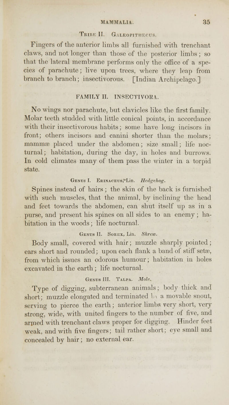 Tribe II. Galeopithf.cus. Fingers of the anterior limbs all furnished with trenchant claws, and not longer than those of the posterior limbs ; so that the lateral membrane performs only the office of a spe- cies of parachute; live upon trees, where they leap from branch to branch; insectivorous. [Indian Archipelago.] FAMILY II. INSECTIVORA. No wings nor parachute, but clavicles like the first family. Molar teeth studded with little conical points, in accordance with their insectivorous habits; some have long incisors in front; others incisors and canini shorter than the molars; mammas placed under the abdomen; size small; life noc- turnal; habitation, during the day, in holes and burrows. In cold climates many of them pass the winter in a torpid state. Genus I. ERiNACEus,**Lin. Hedgehog. Spines instead of hairs ; the skin of the back is furnished with such muscles, that the animal, by inclining the head and feet towards the abdomen, can shut itself up as in a purse, and present his spines on all sides to an enemy; ha- bitation in the woods; life nocturnal. Genus II. Sorex, Lin. Shrew. Body small, covered with hair; muzzle sharply pointed ; ears short and rounded; upon each flank a band of stiff setse, from which issues an odorous humour; habitation in holes excavated in the earth; life nocturnal. Genus III. Talpa. Mole. Type of digging, subterranean animals; body thick and short; muzzle elongated and terminated b\ a movable snout, serving to pierce the earth; anterior limbs very short, very strong, wide, with united fingers to the number of five, and armed with trenchant claws proper for digging. Hinder feet weak, and with five fingers; tail rather short; eye small and concealed by hair; no external ear.