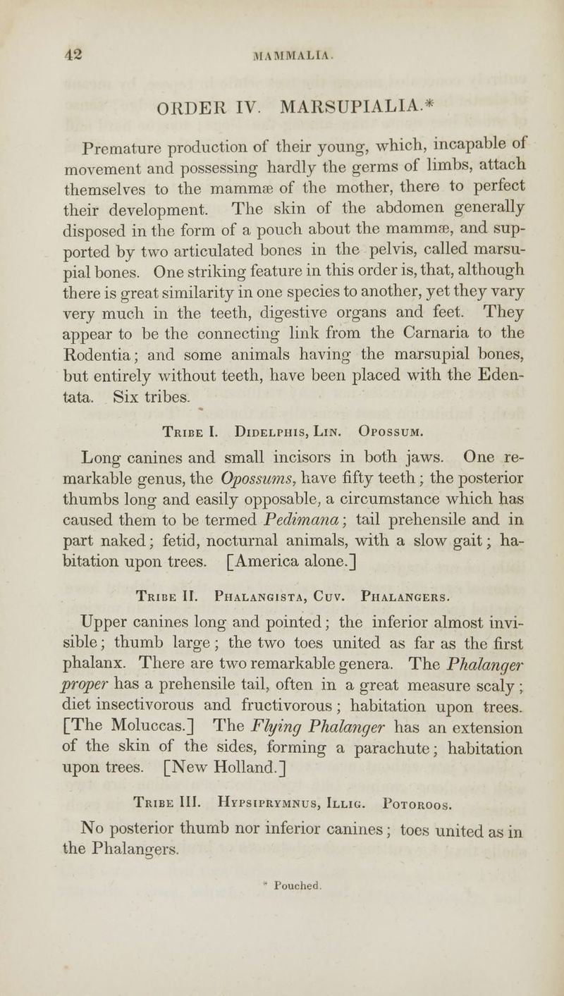 ORDER IV. MARSUPIALIA* Premature production of their young, which, incapable of movement and possessing hardly the germs of limbs, attach themselves to the mammae of the mother, there to perfect their development. The skin of the abdomen generally disposed in the form of a pouch about the mammse, and sup- ported by two articulated bones in the pelvis, called marsu- pial bones. One striking feature in this order is, that, although there is great similarity in one species to another, yet they vary very much in the teeth, digestive organs and feet. They appear to be the connecting link from the Carnaria to the Rodentia; and some animals having the marsupial bones, but entirely without teeth, have been placed with the Eden- tata. Six tribes. Tribe I. Didelphis, Lin. Opossum. Long canines and small incisors in both jaws. One re- markable genus, the Opossums, have fifty teeth; the posterior thumbs long and easily opposable, a circumstance which has caused them to be termed Pedimana; tail prehensile and in part naked; fetid, nocturnal animals, with a slow gait; ha- bitation upon trees. [America alone.] Tribe II. Phalangista, Cuv. Phalangers. Upper canines long and pointed; the inferior almost invi- sible ; thumb large; the two toes united as far as the first phalanx. There are two remarkable genera. The Pkalanger proper has a prehensile tail, often in a great measure scaly ; diet insectivorous and fructivorous; habitation upon trees. [The Moluccas.] The Flying Phalanger has an extension of the skin of the sides, forming a parachute; habitation upon trees. [New Holland.] Tribe III. Hypsiprymnus, Illig. Potoroos. No posterior thumb nor inferior canines; toes united as in the Phalano-ers.  Pouched.