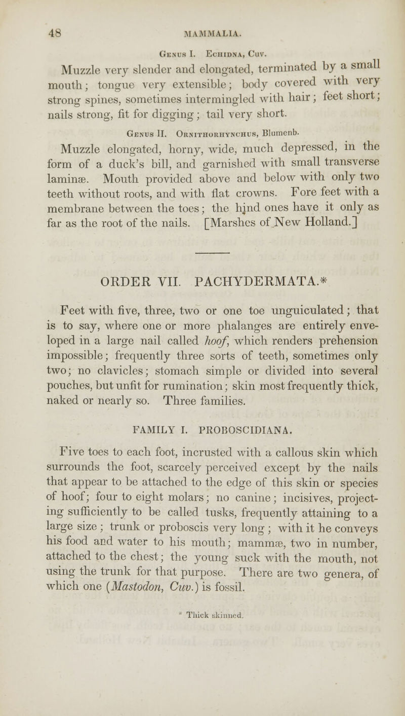 Genus I. Echidna, Cuv. Muzzle very slender and elongated, terminated by a small mouth; tongue very extensible; body covered with very strong spines, sometimes intermingled with hair; feet short; nails strong, fit for digging; tail very short. Genus II. Ornithorhynchus, Blumcnb. Muzzle elongated, horny, wide, much depressed, in the form of a duck's bill, and garnished with small transverse laminae. Mouth provided above and below with only two teeth without roots, and with flat crowns. Fore feet with a membrane between the toes; the hind ones have it only as far as the root of the nails. [Marshes of New Holland.] ORDER VII. PACHYDERMATA.* Feet with five, three, two or one toe unguiculated; that is to say, where one or more phalanges are entirely enve- loped in a large nail called hoof, which renders prehension impossible; frequently three sorts of teeth, sometimes only two; no clavicles; stomach simple or divided into several pouches, but unfit for rumination; skin most frequently thick, naked or nearly so. Three families. FAMILY I. PROBOSCIDIA.NA. Five toes to each foot, incrusted with a callous skin which surrounds the foot, scarcely perceived except by the nails that appear to be attached to the edge of this skin or species of hoof; four to eight molars; no canine; incisives, project- ing sufficiently to be called tusks, frequently attaining to a large size ; trunk or proboscis very long ; with it he conveys his food and water to his mouth; mammae, two in number, attached to the chest; the young suck with the mouth, not using the trunk for that purpose. There are two genera, of which one (Mastodon, Cuv.) is fossil. Thick bkinued.