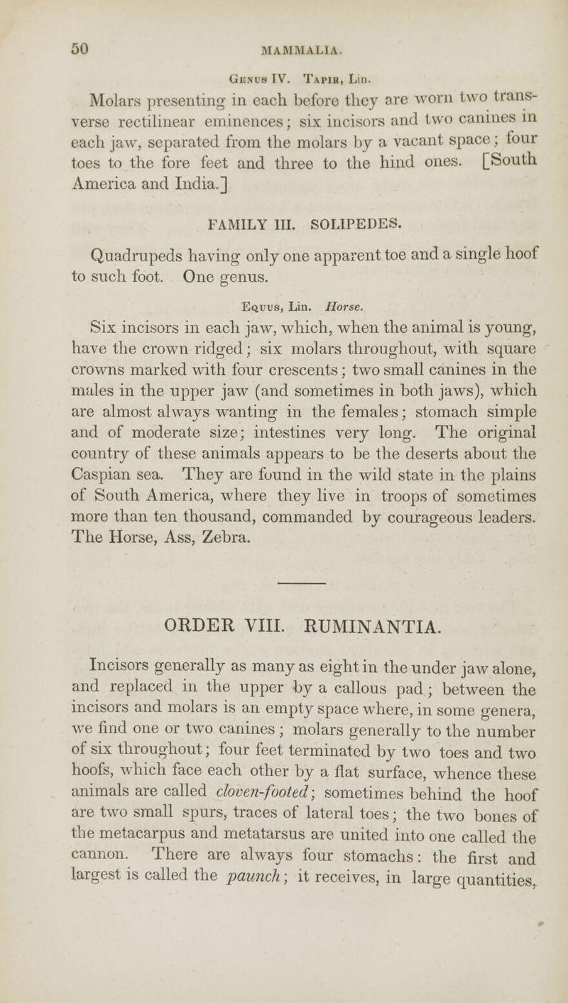 Genus IV. Tapir, Lin. Molars presenting in each before they are worn two trans- verse rectilinear eminences; six incisors and two canines in each jaw, separated from the molars by a vacant space; four toes to the fore feet and three to the hind ones. [South America and India.] FAMILY III. SOLIPEDES. Quadrupeds having only one apparent toe and a single hoof to such foot. One genus. Equus, Lin. Horse. Six incisors in each jaw, which, when the animal is young, have the crown ridged; six molars throughout, with square crowns marked with four crescents; two small canines in the males in the upper jaw (and sometimes in both jaws), which are almost always wanting in the females; stomach simple and of moderate size; intestines very long. The original country of these animals appears to be the deserts about the Caspian sea. They are found in the wild state in the plains of South America, where they live in troops of sometimes more than ten thousand, commanded by courageous leaders. The Horse, Ass, Zebra. ORDER VIII. RUMINANTIA. Incisors generally as many as eight in the under jaw alone, and replaced in the upper by a callous pad; between the incisors and molars is an empty space where, in some genera, we find one or two canines; molars generally to the number of six throughout; four feet terminated by two toes and two hoofs, which face each other by a flat surface, whence these animals are called cloven-footed; sometimes behind the hoof are two small spurs, traces of lateral toes; the two bones of the metacarpus and metatarsus are united into one called the cannon. There are always four stomachs: the first and largest is called the paunch; it receives, in large quantities,