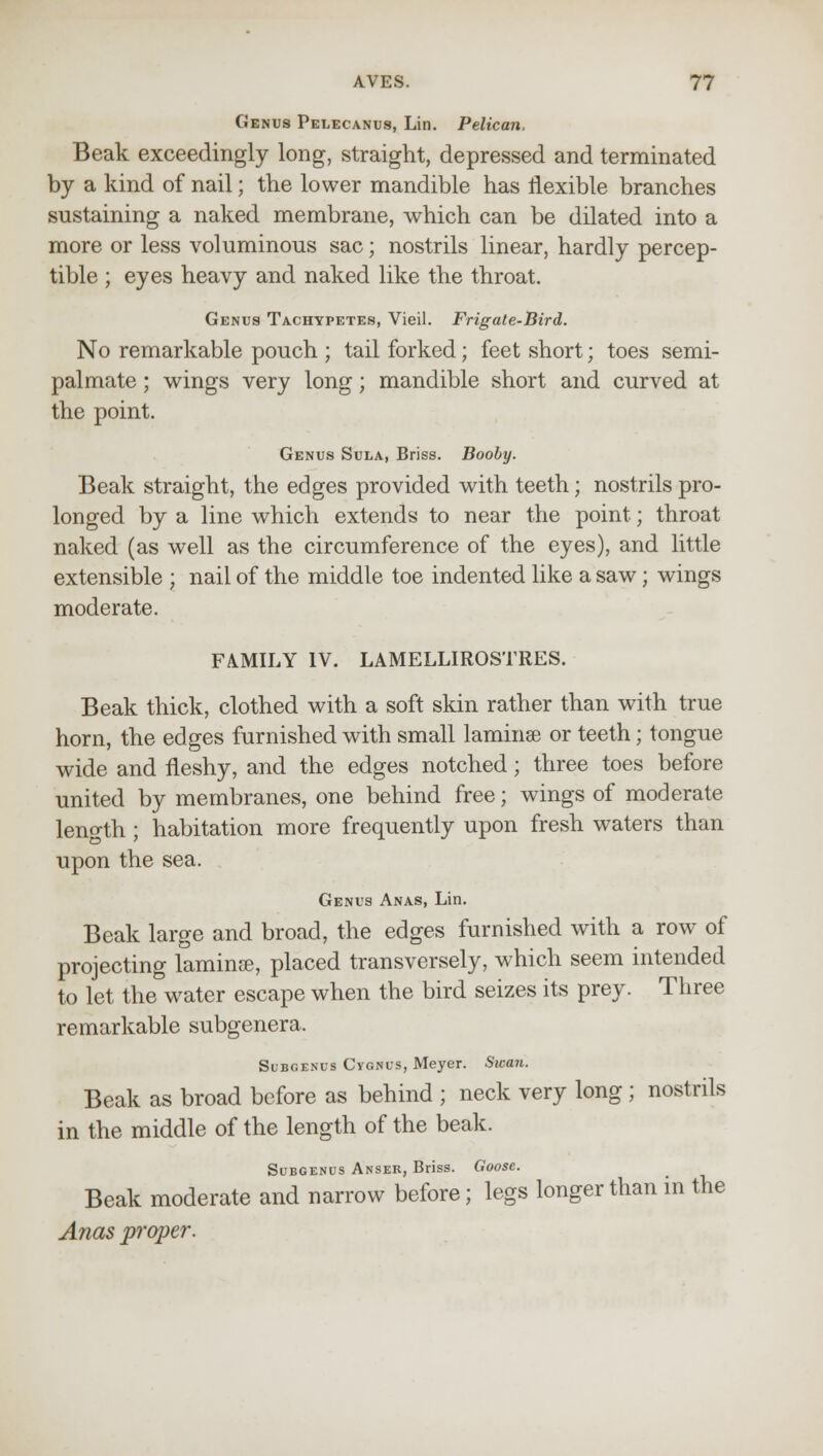 Genus Pelecanus, Lin. Pelican, Beak exceedingly long, straight, depressed and terminated by a kind of nail; the lower mandible has flexible branches sustaining a naked membrane, which can be dilated into a more or less voluminous sac; nostrils linear, hardly percep- tible ; eyes heavy and naked like the throat. Genus Tachypetes, Vieil. Frigate-Bird. No remarkable pouch ; tail forked; feet short; toes semi- palmate ; wings very long; mandible short and curved at the point. Genus Sula, Briss. Booby. Beak straight, the edges provided with teeth; nostrils pro- longed by a line which extends to near the point; throat naked (as well as the circumference of the eyes), and little extensible ; nail of the middle toe indented like a saw; wings moderate. FAMILY IV. LAMELLIROSTRES. Beak thick, clothed with a soft skin rather than with true horn, the edges furnished with small laminae or teeth; tongue wide and fleshy, and the edges notched; three toes before united by membranes, one behind free; wings of moderate length ; habitation more frequently upon fresh waters than upon the sea. Genus Anas, Lin. Beak large and broad, the edges furnished with a row of projecting laminse, placed transversely, which seem intended to let the water escape when the bird seizes its prey. Three remarkable subgenera. Subgenus Cygnus, Meyer. Swan. Beak as broad before as behind ; neck very long ; nostrils in the middle of the length of the beak. Subgenus Anser, Briss. Goose. Beak moderate and narrow before; legs longer than in the Anas proper.