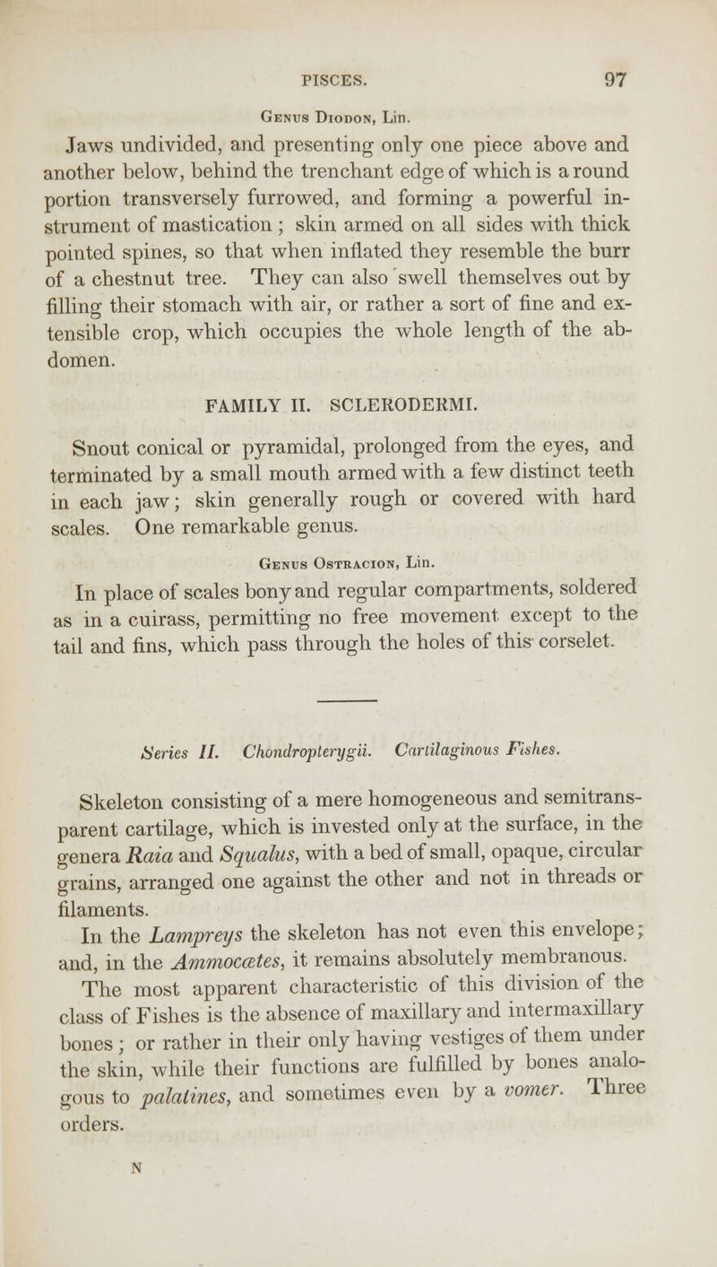 Genus Diodon, Lin. Jaws undivided, and presenting only one piece above and another below, behind the trenchant edge of which is around portion transversely furrowed, and forming a powerful in- strument of mastication ; skin armed on all sides with thick pointed spines, so that when inflated they resemble the burr of a chestnut tree. They can also swell themselves out by filling their stomach with air, or rather a sort of fine and ex- tensible crop, which occupies the whole length of the ab- domen. FAMILY II. SCLERODERMI. Snout conical or pyramidal, prolonged from the eyes, and terminated by a small mouth armed with a few distinct teeth in each jaw; skin generally rough or covered with hard scales. One remarkable genus. Genus Ostracion, Lin. In place of scales bony and regular compartments, soldered as in a cuirass, permitting no free movement except to the tail and fins, which pass through the holes of this- corselet. /Series II. Chondropterygii. Cartilaginous Fishes. Skeleton consisting of a mere homogeneous and semitrans- parent cartilage, which is invested only at the surface, in the genera Rata and Squalus, with a bed of small, opaque, circular grains, arranged one against the other and not in threads or filaments. In the Lampreys the skeleton has not even this envelope; and, in the Ammoccetes, it remains absolutely membranous. The most apparent characteristic of this division of the class of Fishes is the absence of maxillary and intermaxillary bones ; or rather in their only having vestiges of them under the skin, while their functions are fulfilled by bones analo- gous to palatines, and sometimes even by a vomer. Three orders.
