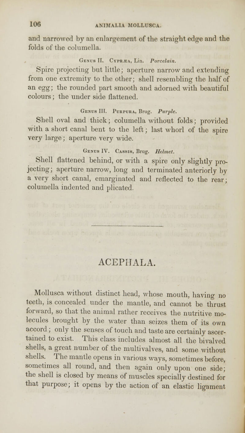 and narrowed by an enlargement of the straight edge and the folds of the columella. Genus II. Cypr^ea, Lin. Porcelain. Spire projecting but little; aperture narrow and extending from one extremity to the other; shell resembling the half of an egg; the rounded part smooth and adorned with beautiful colours; the under side flattened. Genus III. Purpura, Brug. Purple. Shell oval and thick; columella without folds; provided with a short canal bent to the left; last whorl of the spire very large; aperture very wide. Genus IV. Cassis, Brug. Helmet. Shell flattened behind, or with a spire only slightly pro- jecting; aperture narrow, long and terminated anteriorly by a very short canal, emarginated and reflected to the rear; columella indented and plicated. ACEPHALA. Mollusca without distinct head, whose mouth, havino- no teeth, is concealed under the mantle, and cannot be thrust forward, so that the animal rather receives the nutritive mo- lecules brought by the water than seizes them of its own accord; only the senses of touch and taste are certainly ascer- tained to exist. This class includes almost all the bivalved shells, a great number of the multi valves, and some without shells. The mantle opens in various ways, sometimes before, sometimes all round, and then again only upon one side; the shell is closed by means of muscles specially destined for that purpose; it opens by the action of an elastic ligament