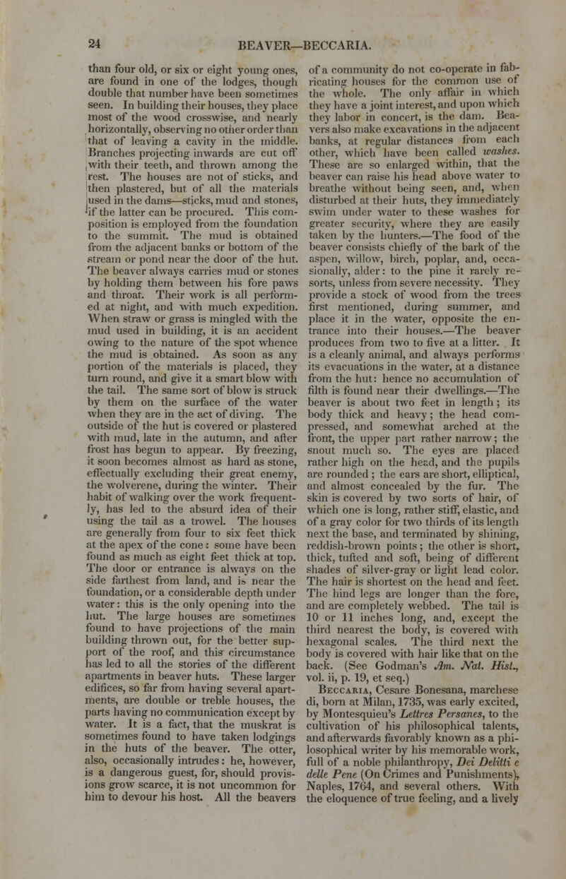 than four old, or six or eight young ones, are found in one of the lodges, though double that number have been sometimes seen. In building their houses, they place most of the wood crosswise, and nearly horizontally, observing no other order than that of leaving a cavity in the middle. Branches projecting inwards are cut off ,with their teeth, and thrown among the rest. The houses are not of sticks, and 'then plastered, but of all the materials jused in the dams—sticks, mud and stones, 'if the latter can be procured. This com- position is employed from the foundation to the summit. The mud is obtained from the adjacent banks or bottom of the stream or pond near the door of the hut. The beaver always carries mud or stones by holding them between his fore paws and throat. Their work is all perform- ed at night, and with much expedition. When straw or grass is mingled with the mud used in building, it is an accident owing to the nature of the spot whence the mud is obtained. As soon as any portion of the materials is placed, they turn round, and give it a smart blow with the tail. The same sort of blow is struck by them on the surface of the water when they are in the act of diving. The outside of the hut is covered or plastered with mud, late in the autumn, and after frost has begun to appear. By freezing, it soon becomes almost as hard as stone, effectually excluding their great enemy, the wolverene, during the winter. Their habit of walking over the work frequent- ly, has led to the absurd idea of their using the tail as a trowel. The houses are generally from four to six feet thick at the apex of the cone: some have been found as much as eight feet thick at top. The door or entrance is always on the side farthest from land, and is near the foundation, or a considerable depth under water: this is the only opening into the hut. The large houses are sometimes found to have projections of the main building thrown out, for the better sup- port of the roof, and this circumstance lias led to all the stories of the different apartments in beaver huts. These larger edifices, so far from having several apart- ments, are double or treble houses, the parts having no communication except by water. It is a fact, that the muskrat is sometimes found to have taken lodgings in the huts of the beaver. The otter, also, occasionally intrudes: he, however, is a dangerous guest, for, should provis- ions grow scarce, it is not uncommon for him to devour his host All the beavers of a community do not co-operate in fab- ricating houses for the common use of the whole. The only affair in which they have a joint interest, and upon which they labor in concert, is the dam. Bea- vers also make excavations in the adjacent banks, at regular distances from each other, which have been called washes. These are so enlarged within, that the beaver can raise his head above water to breathe without being seen, and, when disturbed at their huts, they immediately swim under water to these washes for greater security, where they are easily taken by the hunters.—The food of the beaver consists chiefly of the bark of the aspen, willow, birch, poplar, and, occa- sionally, alder: to the pine it rarely re- sorts, unless from severe necessity. They provide a stock of wood from the trees first mentioned, during summer, and place it in the water, opposite the en- trance into their houses.—The beaver produces from two to five at a litter. It is a cleanly animal, and always performs its evacuations in the water, at a distance from the hut: hence no accumulation of filth is found near their dwellings.—The beaver is about two feet in length; its body thick and heavy; the head com- pressed, and somewhat arched at the front, the upper part rather narrow; the snout much so. The eyes are placed rather high on the head, and the pupils are rounded ; the ears are short, elliptical, and almost concealed by the fur. The skin is covered by two sorts of hair, of which one is long, rather stiff, elastic, and of a gray color for two thirds of its length next the base, and terminated by shining-, reddish-brown points ; the other is short, thick, tufted and soft, being of different shades of silver-gray or light lead color. The hair is shortest on the head and feet. The hind legs are longer than the fore, and are completely webbed. The tail is 10 or 11 inches long, and, except the third nearest the body, is covered with hexagonal scales. The third next the body is covered with hair like that on the back. (See Godman's Am. Nat. Hist^ vol. ii, p. 19, et seq.) Beccaria, Cesare Bonesana, marchese di, born at Milan, 1735, was early excited, by Montesquieu's Lettres Persanes, to the cultivation of his philosophical talents, and afterwards favorably known as a phi- losophical writer by his memorable work, full of a noble philanthropy, Dei Delitti c delle Pene (On Crimes and Punishments), Naples, 1764, and several others. With the eloquence of true feeling, and a lively