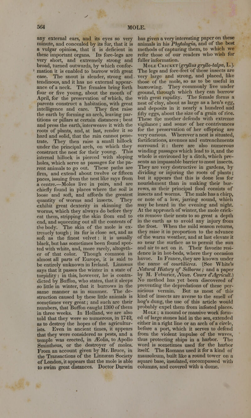 any external ears, and its eyes so very minute, and concealed by its fur, that it is a vulgar opinion, that it is deficient in these important organs. Its fore-legs are very short, and extremely strong and broad, turned outwards, by which confor- 1 mation it is enabled to burrow with great ease. The snout is slender, strong and tendinous, and it has no external appear- ance of a neck. The females bring forth four or five young, about the month of April, for the preservation of which, the parents construct a habitation, with great intelligence and care. They first raise the earth by forming an arch, leaving par- titions or pillars at certain distances; beat and press the earth, interweave it with the roots of plants, and, at last, render it so hard and solid, that the rain cannot pene- trate. They then raise a small hillock under the principal arch, on which they construct the nest for their young. This internal hillock is pierced with sloping holes, which serve as passages for the pa- rent animals to go out. These paths are firm, and extend about twelve or fifteen paces, issuing from the nest like rays from a centre.—Moles live in pairs, and are chiefly found in places where the soil is loose and soft, and affords the greatest quantity of worms and insects. They exhibit great dexterity in skinning the worms, which they always do before they eat them, stripping the skin from end to end, and squeezing out all the contents of tJ'ebody. The skin of the mole is ex- tremely tough ; its fur is close set, and as soft as the finest velvet: it is usually black, but has sometimes been found spot- ted with white, and, more rarely, altogeth- er of that color. Though common in almost all parts of Europe, it is said to be entirely unknown in Ireland. Linnreus says that it passes the winter in a state of torpidity: in this, however, he is contra- dicted by Buffon, who states, that it sleeps so little in winter, that it burrows in the same manner as in summer. The de- struction caused by these little animals is sometimes very great; and such are their numbers, that Buffon caught 1300 of them in three weeks. In Holland, we are also told that they were so numerous, in 1742, as to destroy the hopes of the agricultur- ists. Even in ancient times, it appears that they were considered as pests, and a temple was erected, in iEolia, to Apollo Smintheus, or the destroyer of moles. From an account given by Mr. Bruce, in the Transactions of the Linnsean Society of London, it appears that the mole is able to swim great distances. Doctor Darwin has given a very interesting paper on these animals in his Phytologia, and of the best methods of capturing them, to which we refer those of our readers who wish for fuller information. Mole Cricket (gryttusgryllo-talpa, L.). The legs and fore-feet of these insects are very large and strong, and placed, like those of the mole, so as to be useful in burrowing. They commonly live under ground, through which they can burrow with great rapidity. The female forms a nest of clay, about as large as a hen's egg, and deposits in it nearly a hundred and fifty eggs, about the size of a grain of rice. These the mother defends with extreme vigilance ; and some of her contrivances for the preservation of her offspring are very curious. Wherever a nest is situated, fortifications, avenues and entrenchments surround it: there are also numerous winding passages which lead to it, and the whole is environed by a ditch, which pre- sents an impassable barrier to most insects. They are very destructive in gardens, by dividing or injuring the roots of plants; but it appears that this is done less for nourishment than in making their bur- rows, as their principal food consists of insects and worms. The male has a chirp, or note of a low, jarring sound, which may be heard in the evening and night. At the approach of winter, the mole crick- ets remove their nests to so great a depth in the earth as to avoid any injury from the frost. When the mild season returns, they raise it in proportion to the advance of the warm weather, and at last elevate it so near the surface as to permit the sun and air to act on it. Their favorite resi- dence is in hot-beds, where they occasion havoc. In France, they are known under the name of couriilieres. (See White's Natural History of Selborne; and a paper by M. Feburier, JYouv. Cours oVAgricxdt.) No method has yet been discovered of preventing the depredations of these per- nicious vermin. But as most of this kind of insects are averse to the smell of hog's dung, the use of this article would probably expel them from infested places. Mole ; a mound or massive work form- ed of large stones laid in the sea, extended either in a right line or an arch of a circle, before a port, which it serves to defend from the violent impulse of the waves, thus protecting ships in a harbor. The word is sometimes used for the harbor itself. The Romans used it for a kind of mausoleum, built like a round tower on a square base, insulated, encompassed with columns, and covered with a dome.