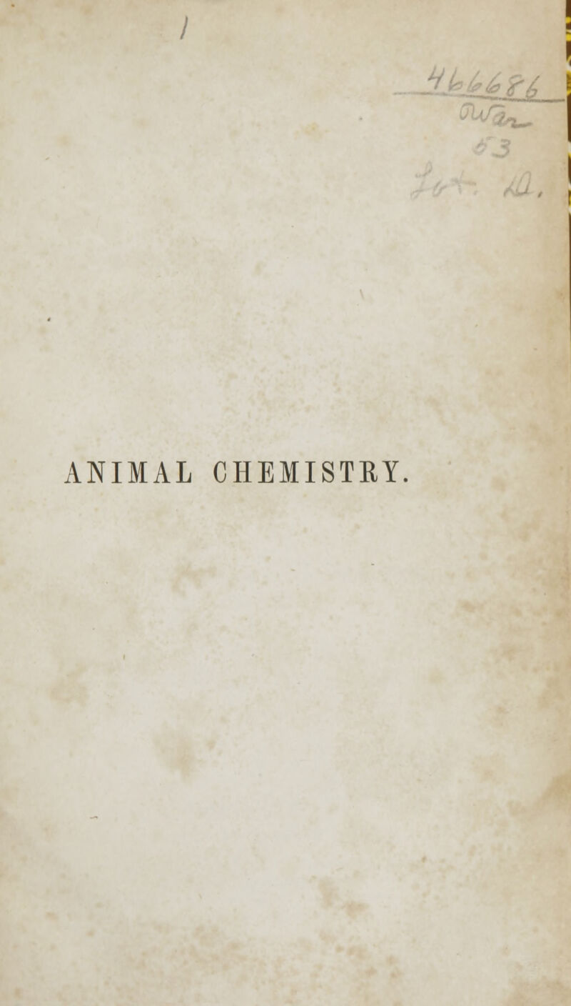 ANIMAL CHEMISTRY.