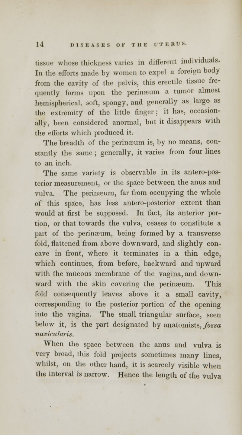 tissue whose thickness varies in different individuals. In the efforts made by women to expel a foreign body from the cavity of the pelvis, this erectile tissue fre- quently forms upon the perinaeum a tumor almost hemispherical, soft, spongy, and generally as large as the extremity of the little finger ; it has, occasion- ally, been considered anormal, but it disappears with the efforts which produced it. The breadth of the perinaeum is, by no means, con- stantly the same; generally, it varies from four lines to an inch. The same variety is observable in its anteropos- terior measurement, or the space between the anus and vulva. The perinaeum, far from occupying the whole of this space, has less antero-posterior extent than would at first be supposed. In fact, its anterior por- tion, or that towards the vulva, ceases to constitute a part of the perinaeum, being formed by a transverse fold, flattened from above downward, and slightly con- cave in front, where it terminates in a thin edge, which continues, from before, backward and upward With the mucous membrane of the vagina, and down- ward with the skin covering the perinaeum. This fold consequently leaves above it a small cavity, corresponding to the posterior portion of the opening into the vagina. The small triangular surface, seen below it, is the part designated by anatomists, fossa navicularis. When the space between the anus and vulva is very broad, this fold projects sometimes many lines, whilst, on the other hand, it is scarcely visible when the interval is narrow. Hence the length of the vulva