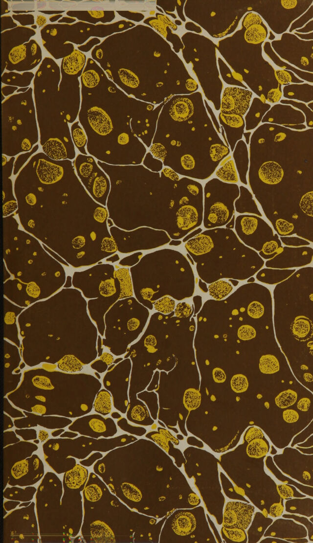 digitised image 3