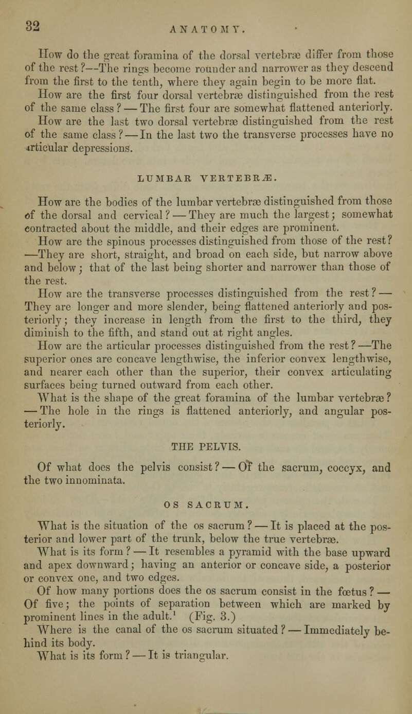 How do the great foramina of the dorsal vertebrae differ from those of the rest ?—The rings become rounder and narrower as they descend from the first to the tenth, where they again begin to be more flat. How are the first four dorsal vertebrae distinguished from the rest of the same class ? — The first four are somewhat flattened anteriorly. How are the last two dorsal vertebrae distinguished from the rest of the same class? — In the last two the transverse processes have no ■irticular depressions. LUMBAR VERTEBRA. How are the bodies of the lumbar vertebrae distinguished from those of the dorsal and cervical? — They are much the largest; somewhat contracted about the middle, and their edges are prominent. How are the spinous processes distinguished from those of the rest? —They are short, straight, and broad on each side, but narrow above and below; that of the last being shorter and narrower than those of the rest. How are the transverse processes distinguished from the rest ? — They are longer and more slender, being flattened anteriorly and pos- teriorly ; they increase in length from the first to the third, they diminish to the fifth, and stand out at right angles. How are the articular processes distinguished from the rest?—The superior ones are concave lengthwise, the inferior convex lengthwise, and nearer each other than the superior, their convex articulating surfaces being turned outward from each other. What is the shape of the great foramina of the lumbar vertebrae ? — The hole in the rings is flattened anteriorly, and angular pos- teriorly. THE PELVIS. Of what docs the pelvis consist ? — Of the sacrum, coccyx, and the two innominata. OS SACRUM. What is the situation of the os sacrum ? — It is placed at the pos- terior and lower part of the trunk, below the true vertebrae. What is its form ? — It resembles a pyramid with the base upward and apex downward; having an anterior or concave side, a posterior or convex one, and two edges. Of how many portions does the os sacrum consist in the foetus ? — Of five; the points of separation between which are marked by prominent lines in the adult.' (Fig. 3.) Where is the canal of the os sacrum situated ? — Immediately be- hind its body. What is its form ? — It is triangular.