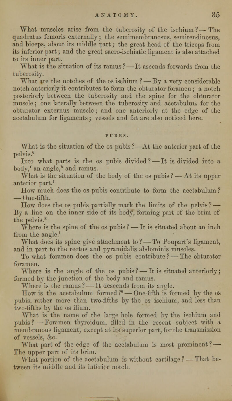 What muscles arise from the tuberosity of the ischium ? — The quadratus femoris externally; the semimembranosus, semitendinosus, and biceps, about its middle part; the great head of the triceps from its inferior part; and the great sacro-ischiatic ligament is also attached to its inner part. What is the situation of its ramus ?—It ascends forwards from the tuberosity. What are the notches of the os ischium ? — By a very considerable notch anteriorly it contributes to form the obturator foramen; a notch posteriorly between the tuberosity and the spine for the obturator muscle; one laterally between the tuberosity and acetabulum for the obturator externus muscle; and one anteriorly at the edge of the acetabulum for ligaments; vessels and fat are also noticed here. What is the situation of the os pubis ?—At the anterior part of the pelvis.6 Into what parts is the os pubis divided ? — It is divided into a body/ an angle,11 and ramus. What is the situation of the body of the os pubis ? — At its upper anterior part/ How much does the os pubis contribute to form the acetabulum ? — One-fifth. How does the os pubis partially mark the limits of the pelvis ? — By a line on the inner side of its body, forming part of the brim of the pelvis/ Where is the spine of the os pubis ? — It is situated about an inch from the angle.1 What does its spine give attachment to ? — To Poupart's ligament, and in part to the rectus and pyramidalis abdominis muscles. To what foramen does the os pubis contribute ? — The obturator foramen. Where is the angle of the os pubis ? — It is situated anteriorly', formed by the junction of the body and ramus. Where is the ramus ? — It descends from its angle. How is the acetabulum formed ?9 — One-fifth is formed by the ois pubis, rather more than two-fifths by the os ischium, and less than two-fifths by the os ilium. What is the name of the large hole formed by the ischium and pubis? — Foramen thyroidum, filled in the recent subject with a membranous ligament, except at its superior part, for the transmission of vessels, &c. What part of the edge of the acetabulum is most prominent ? — The upper part of its brim. What portion of the acetabulum is without cartilage ? — That be- tween its middle and its inferior notch.