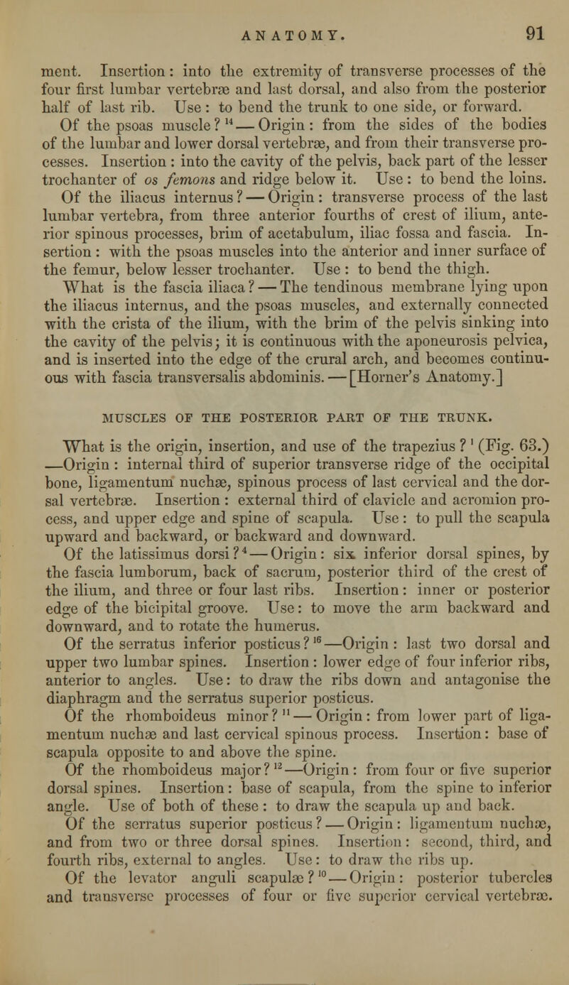 ment. Insertion: into the extremity of transverse processes of the four first lumbar vertebrae and last dorsal, and also from the posterior half of last rib. Use : to bend the trunk to one side, or forward. Of the psoas muscle ? 14 — Origin: from the sides of the bodies of the lumbar and lower dorsal vertebrae, and from their transverse pro- cesses. Insertion : into the cavity of the pelvis, back part of the lesser trochanter of os femons and ridge below it. Use : to bend the loins. Of the iliacus internus ? — Origin: transverse process of the last lumbar vertebra, from three anterior fourths of crest of ilium, ante- rior spinous processes, brim of acetabulum, iliac fossa and fascia. In- sertion : with the psoas muscles into the anterior and inner surface of the femur, below lesser trochanter. Use : to bend the thigh. What is the fascia iliaca ? — The tendinous membrane lying upon the iliacus internus, and the psoas muscles, and externally connected with the crista of the ilium, with the brim of the pelvis sinking into the cavity of the pelvis; it is continuous with the aponeurosis pelvica, and is inserted into the edge of the crural arch, and becomes continu- ous with fascia transversalis abdominis. — [Horner's Anatomy.] MUSCLES OF THE POSTERIOR PART OP THE TRUNK. What is the origin, insertion, and use of the trapezius ? ' (Fig. 63.) —Origin : internal third of superior transverse ridge of the occipital bone, ligamentum nuchge, spinous process of last cervical and the dor- sal vertebrae. Insertion : external third of clavicle and acromion pro- cess, and upper edge and spine of scapula. Use : to pull the scapula upward and backward, or backward and downward. Of the latissimus dorsi ?4 — Origin: six. inferior dorsal spines, by the fascia lumborum, back of sacrum, posterior third of the crest of the ilium, and three or four last ribs. Insertion : inner or posterior edge of the bicipital groove. Use: to move the arm backward and downward, and to rotate the humerus. Of the serratus inferior posticus?16—Origin: last two dorsal and upper two lumbar spines. Insertion : lower edge of four inferior ribs, anterior to angles. Use: to draw the ribs down and antagonise the diaphragm and the serratus superior posticus. Of the rhomboideus minor? — Origin: from lower part of liga- mentum nuchae and last cervical spinous process. Insertion: base of scapula opposite to and above the spine. Of the rhomboideus major?12—Origin: from four or five superior dorsal spines. Insertion: base of scapula, from the spine to inferior angle. Use of both of these : to draw the scapula up and back. Of the serratus superior posticus? — Origin: ligamentum nuchae, and from two or three dorsal spines. Insertion: second, third, and fourth ribs, external to angles. Use: to draw the ribs up. Of the levator anguli scapulae?10 — Origin: posterior tubercles and transverse processes of four or five superior cervical vertebrae.