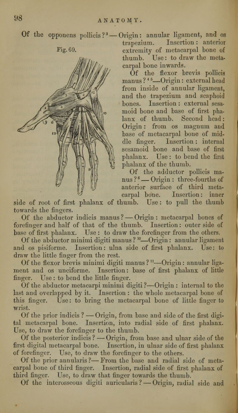 ANATOMY. Fig. 69. Of the opponens pollicis?3 — Origin: annular ligament, and os trapezium. Insertion : anterior extremity of metacarpal bone of thumb. Use: to draw the meta- carpal bone inwards. Of the flexor brevis pollicis manus ?4 5—Origin: external head from inside of annular ligament, and the trapezium and scaphoid bones. Insertion : external sesa- moid bone and base of first pha- lanx of thumb. Second head: Origin: from os magnum and base of metacarpal bone of mid- dle finger. Insertion : internal sesamoid bone and base of first phalanx. Use : to bend the first phalanx of the thumb. Of the adductor pollicis ma- nus ?6 — Origin : three-fourths of anterior surface of third meta- carpal bone. Insertion: inner side of root of first phalanx of thumb. Use: to pull the thumb towards the fingers. Of the abductor indicis manus ? — Origin : metacarpal bones of forefinger and half of that of the thumb. Insertion: outer side of base of first phalanx. Use : to draw the forefinger from the others. Of the abductor minimi digiti manus ? I0—Origin: annular ligament and os pisiforme. Insertion: ulna side of first phalanx. Use: to draw the little finger from the rest. Of the flexor brevis minimi digiti manus?—Origin: annular liga- ment and os unciforme. Insertion: base of first phalanx of little finger. Use: to bend the little finger. Of the abductor metacarpi minimi digiti ?—Origin : internal to the last and overlapped by it. Insertion : the whole metacarpal bone of this finger. Use: to bring the metacarpal bone of little finger to wrist. Of the prior indicis ? — Origin, from base and side of the first digi- tal metacarpal bone. Insertion, into radial side of first phalanx. Use, to draw the forefinger to the thumb. Of the posterior indicis ? — Origin, from base and ulnar side of the first digital metacarpal bone. Insertion, in ulnar side of first phalanx of forefinger. Use, to draw the forefinger to the others. Of the prior annularis ?— From the base and radial side of meta- carpal bone of third finger. Insertion, radial side of first phalanx of third finger. Use, to draw that finger towards the thumb. Of the interosseous digiti auricularis ? — Origin, radial side and