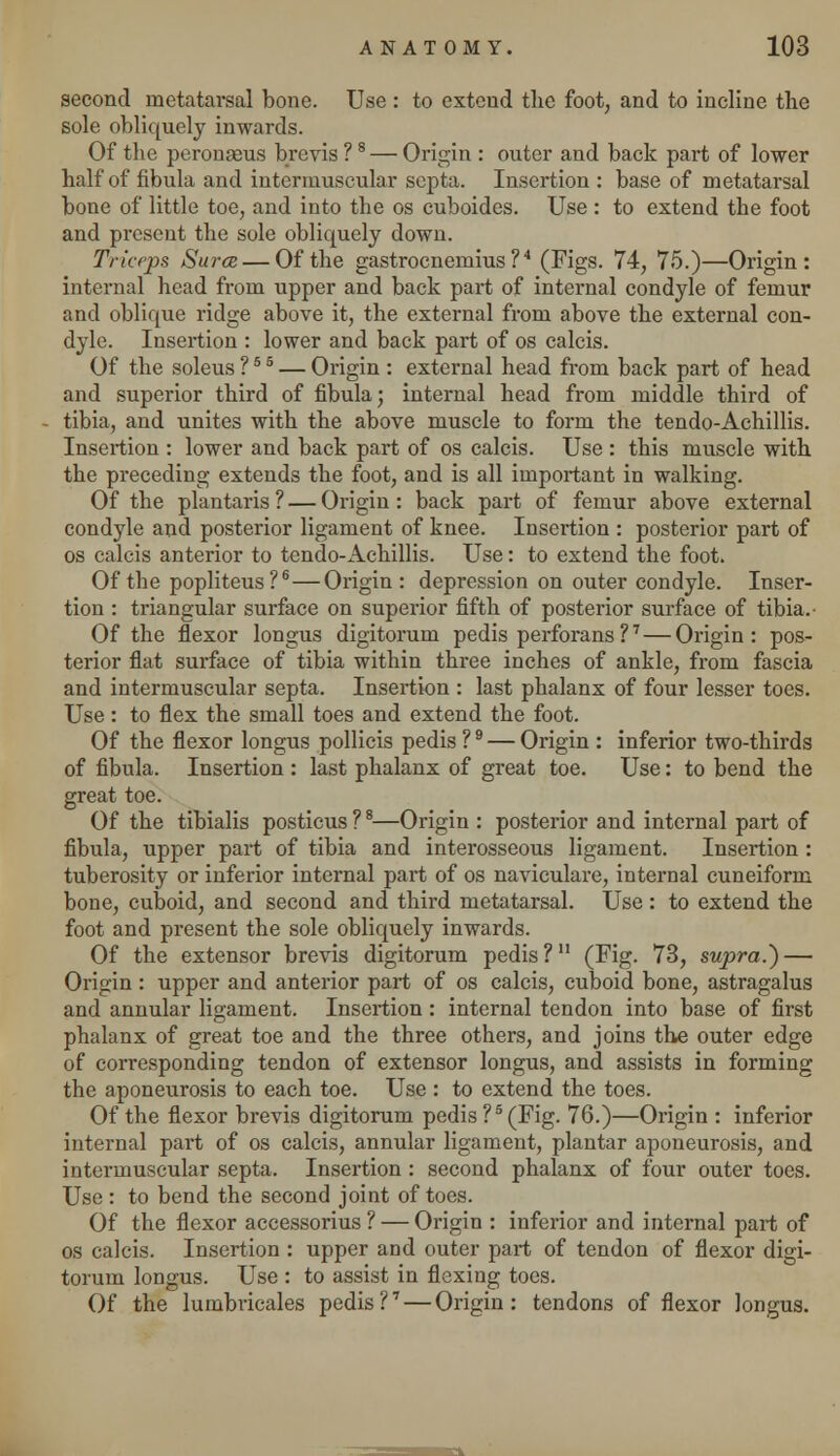 second metatarsal bone. Use : to extend the foot, and to incline the sole obliquely inwards. Of the peronasus brevis ?8 — Origin : outer and back part of lower half of fibula and intermuscular septa. Insertion : base of metatarsal bone of little toe, and into the os cuboides. Use : to extend the foot and present the sole obliquely down. Triceps Surce— Of the gastrocnemius?4 (Figs. 74, 75.)—Origin: internal head from upper and back part of internal condyle of femur and oblique ridge above it, the external from above the external con- dyle. Insertion : lower and back part of os calcis. Of the soleus ?5 5 — Origin : external head from back part of head and superior third of fibula; internal head from middle third of tibia, and unites with the above muscle to form the tendo-Achillis. Insertion : lower and back part of os calcis. Use : this muscle with the preceding extends the foot, and is all important in walking. Of the plantaris ? — Origin: back part of femur above external condyle and posterior ligament of knee. Insertion : posterior part of os calcis anterior to tendo-Achillis. Use: to extend the foot. Of the popliteus?6—Origin: depression on outer condyle. Inser- tion : triangular surface on superior fifth of posterior surface of tibia.- Of the flexor longus digitorum pedis perforans V — Origin : pos- terior flat surface of tibia within three inches of ankle, from fascia and intermuscular septa. Insertion : last phalanx of four lesser toes. Use : to flex the small toes and extend the foot. Of the flexor longus pollicis pedis ? 9 — Origin : inferior two-thirds of fibula. Insertion : last phalanx of great toe. Use: to bend the great toe. Of the tibialis posticus ?8—Origin : posterior and internal part of fibula, upper part of tibia and interosseous ligament. Insertion : tuberosity or inferior internal pai't of os naviculare, internal cuneiform bone, cuboid, and second and third metatarsal. Use: to extend the foot and present the sole obliquely inwards. Of the extensor brevis digitorum pedis ? (Fig. 73, supra.) — Origin: upper and anterior part of os calcis, cuboid bone, astragalus and annular ligament. Insertion: internal tendon into base of first phalanx of great toe and the three others, and joins the outer edge of corresponding tendon of extensor longus, and assists in forming the aponeurosis to each toe. Use : to extend the toes. Of the flexor brevis digitorum pedis ?5 (Fig. 76.)—Origin : inferior internal part of os calcis, annular ligament, plantar aponeurosis, and intermuscular septa. Insertion: second phalanx of four outer toes. Use: to bend the second joint of toes. Of the flexor accessorius ? — Origin : inferior and internal part of os calcis. Insertion : upper and outer part of tendon of flexor digi- torum longus. Use : to assist in flexing toes. Of the lumbricales pedis?7 — Origin: tendons of flexor longus.