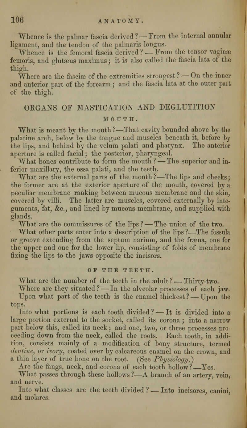 Whence is the palmar fascia derived ? —From the internal annular ligament, and the tendon of the palmaris longus. Whence is the femoral fascia derived ? — From the tensor vagina fenioris, and glutoeus maximus; it is also called the fascia lata of the thigh. Where are the fasciae of the extremities strongest ? — On the inner and anterior part of the forearm; and the fascia lata at the outer part of the thigh. ORGANS OF MASTICATION AND DEGLUTITION MOUTH. What is meant by the mouth ?—That cavity bounded above by the palatine arch, below by the tongue and muscles beneath it, before by the lips, and behind by the velum palati and pharynx. The anterior aperture is called facial; the posterior, pharyngeal. What bones contribute to form the mouth ?—The superior and in- ferior maxillary, the ossa palati, and the teeth. What are the external parts of the mouth?—The lips and cheeks; the foi'mer are at the exterior aperture of the mouth, covered by a peculiar membrane ranking between mucous membrane and the skin, covered by villi. The latter are muscles, covered externally by inte- guments, fat, &c, and lined by mucous membrane, and supplied with glands. What are the commissures of the lips ? — The union of the two. What other parts enter into a description of the lips ?—The fossula or groove extending from the septum narium, and the frama, one for the upper and one for the lower lip, consisting of folds of membrane fixing the lips to the jaws opposite the incisors. OF THE TEETH. What are the number of the teeth in the adult ? — Thirty-two. Where are they situated? — In the alveolar processes of each jaw. Upon what part of the teeth is the enamel thickest ? — Upon the tops. Into what portions is each tooth divided ? — It is divided into a large portion external to the socket, called its corona; into a narrow part below this, called its neck; and one, two, or three processes pro- ceeding down from the neck, called the roots. Each tooth, in addi- tion, consists mainly of a modification of bony structure, termed (Iodine, or ivory, coated over by calcareous enamel on the crown, and a thin layer of true bone on the root. (See Physiology.') Are the fangs, neck, and corona of each tooth hollow ? —Yes. What passes through these hollows ?—A branch of an artery, vein, and nerve. Into what classes are the teeth divided ? — Into incisores, canini, and molares.