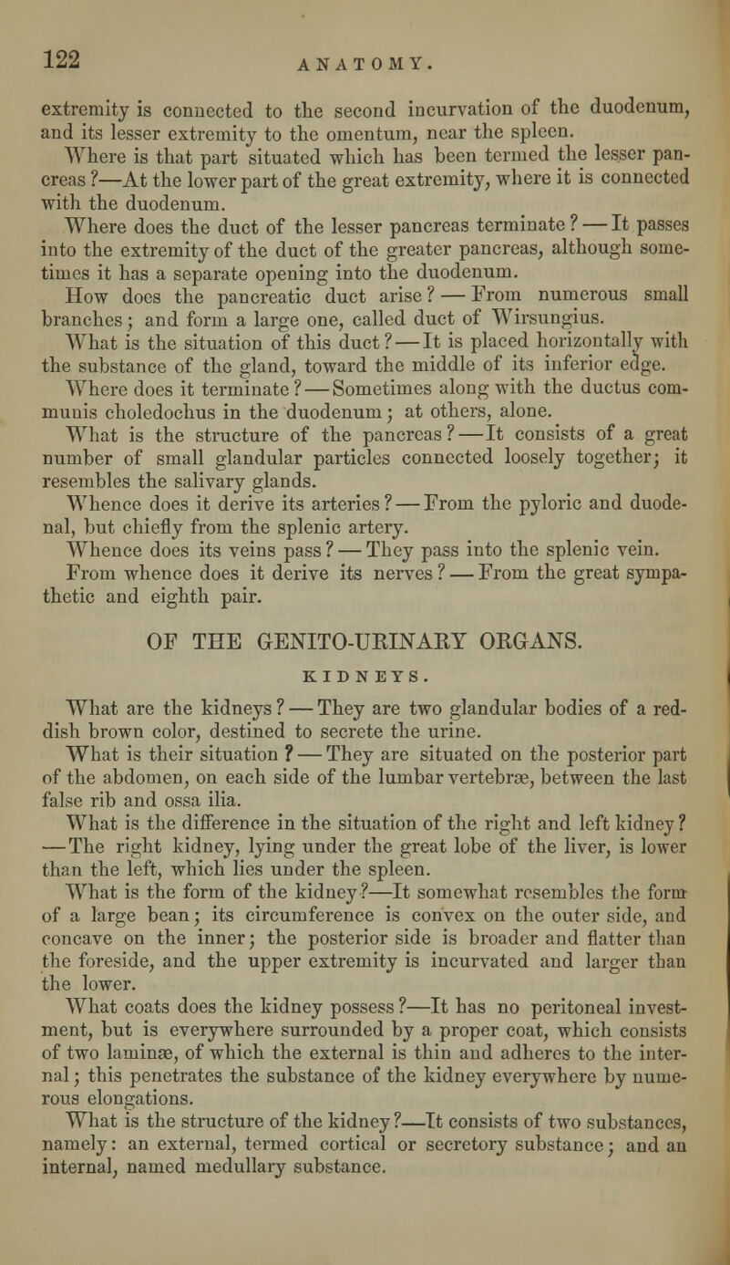 extremity is connected to the second incurvation of the duodenum, and its lesser extremity to the omentum, near the spleen. Where is that part situated which has been termed the lesser pan- creas ?—At the lower part of the great extremity, where it is connected with the duodenum. Where does the duct of the lesser pancreas terminate ? — It passes into the extremity of the duct of the greater pancreas, although some- times it has a separate opening into the duodenum. How does the pancreatic duct arise ? — From numerous small branches; and form a large one, called duct of Wirsungius. What is the situation of this duct? — It is placed horizontally with the substance of the gland, toward the middle of its inferior edge. Where does it terminate ? — Sometimes along with the ductus com- munis choledochus in the duodenum; at others, alone. What is the structure of the pancreas?—It consists of a great number of small glandular particles connected loosely together; it resembles the salivary glands. Whence does it derive its arteries ? — From the pyloric and duode- nal, but chiefly from the splenic artery. Whence does its veins pass? — They pass into the splenic vein. From whence does it derive its nerves ? — From the great sympa- thetic and eighth pair. OF THE GENITO-URINARY ORGANS. KIDN EYS. What are the kidneys ? — They are two glandular bodies of a red- dish brown color, destined to secrete the urine. What is their situation ? — They are situated on the posterior part of the abdomen, on each side of the lumbar vertebrae, between the last false rib and ossa ilia. What is the difference in the situation of the right and left kidney ? —The right kidney, lying under the great lobe of the liver, is lower than the left, which lies under the spleen. What is the form of the kidney?—It somewhat resembles the form of a large bean; its circumference is convex on the outer side, and concave on the inner; the posterior side is broader and flatter than the foreside, and the upper extremity is incurvated and larger than the lower. What coats does the kidney possess ?—It has no peritoneal invest- ment, but is everywhere surrounded by a proper coat, which consists of two laminae, of which the external is thin and adheres to the inter- nal ; this penetrates the substance of the kidney everywhere by nume- rous elongations. What is the structure of the kidney?—It consists of two substances, namely: an external, termed cortical or secretory substance; and an internal, named medullary substance.