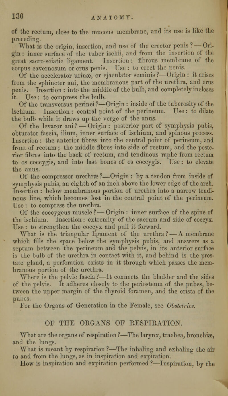 of the rectum, close to the mucous membrane, and its use is like the preceding. What is the origin, insertion, and use of the erector penis ? — Ori- gin : inner surface of the tuber ischii, and from the insertion of the great sacro-sciatic ligament. Insertion : fibrous membrane of the corpus cavernosum or crus penis. Use : to erect the penis. Of the accelerator urinae, or ejaculator seminis ?—Origin : it arises from the sphincter ani, the membranous part of the urethra, and crus penis. Insertion : into the middle of the bulb, and completely incloses it. Use : to compress the bulb. Of the transversus perinei ?—Origin : inside of the tuberosity of the ischium. Insertion : central point of the perineum. Use : to dilate the bulb while it draws up the verge of the anus. Of the levator ani ? — Origin : posterior part of symphysis pubis, obturator fascia, ilium, inner surface of ischium, and spinous process. Insertion: the anterior fibres into the central point of perineum, and front of rectum ; the middle fibres into side of rectum, and the poste- rior fibres into the back of rectum, and tendinous raphe from rectum to os coccygis, and into last bones of os coccygis. Use: to elevate the anus. Of the compressor urethrae ?—Origin : by a tendon from inside of symphysis pubis, an eighth of an inch above the lower edge of the arch. Insertion : below membranous portion of urethra into a narrow tendi- nous line, which becomes lost in the central point of the perineum. Use : to compress the urethra. Of the coccygeus muscle ?— Origin : inner surface of the spine of the ischium. Insertion : extremity of the sacrum and side of coccyx. Use : to strengthen the coccyx and pull it forward. What is the triangular ligament of the urethra?—A membrane which fills the space below the symphysis pubis, and answers as a septum between the perineum and the pelvis, in its anterior surface is the bulb of the urethra in contact with it, and behind is the pros- tate gland, a perforation exists in it through which passes the mem- branous portion of the urethra. Where is the pelvic fascia?—It connects the bladder and the sides of the pelvis. It adheres closely to the periosteum of the pubes, be- tween the upper margin of the thyroid foramen, and the crista of the pubes. For the Organs of Generation in the Female, see Obstetrics. OF THE ORGANS OF RESPIRATION. What are the organs of respiration ?—The larynx, trachea, bronchias, and the lungs. What is meant by respiration ?—The inhaling and exhaling the air to and from the lungs, as in inspiration and expiration. How is inspiration and expiration performed ?—Inspiration, by the