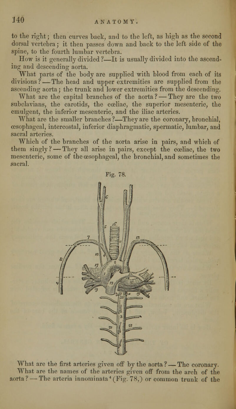 J40 to the right; then curves back, and to the left, as high as the second dorsal vertebra; it then passes down and back to the left side of the spine, to the fourth lumbar vertebra. How is it generally divided ?—It is usually divided into the ascend- ing and descending aorta. What parts of the body are supplied with blood from each of its divisions? — The head and upper extremities are supplied from the ascending aorta; the trunk and lower extremities from the descending. What are the capital branches of the aorta? — They are the two subclavians, the carotids, the coeliac, the superior mesenteric, the emulgent, the inferior mesenteric, and the iliac arteries. What are the smaller branches ?—They are the coronary, bronchial, oesophageal, intercostal, inferior diaphragmatic, spermatic, lumbar, and sacral arteries. Which of the branches of the aorta arise in pairs, and which of them singly? — They all arise in pairs, except the coeliac, the two mesenteric, some of the oesophageal, the bronchial, and sometimes the sacral. Fig. 78. What are the first arteries given off by the aorta ? — The coronary. What are the names of the arteries given off from the arch of the aorta? — The arteria innominata (Fig. 78,) or common trunk of the