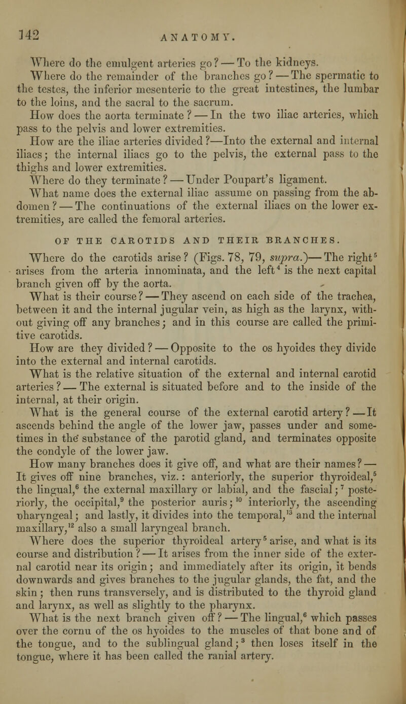 Where do the emulgent arteries go?— To the kidneys. Where do the remainder of the branches go? — The spermatic to the testes, the inferior mesenteric to the great intestines, the lumbar to the loins, and the sacral to the sacrum. How does the aorta terminate ? — In the two iliac arteries, which pass to the pelvis and lower extremities. How are the iliac arteries divided ?—Into the external and internal iliacs; the internal iliacs go to the pelvis, the external pass to the thighs and lower extremities. Where do they terminate? — Under Poupart's ligament. What name does the external iliac assume on passing from the ab- domen ? — The continuations of the external iliacs on the lower ex- tremities, are called the femoral arteries. OP THE CAROTIDS AND THEIR BRANCHES. Where do the carotids arise? (Figs. 78, 79, supra.)—The right5 arises from the arteria innominata, and the left4 is the next capital branch given off by the aorta. What is their course ? — They ascend on each side of the trachea, between it and the internal jugular vein, as high as the larynx, with- out giving off any branches; and in this course are called the primi- tive carotids. How are they divided ? — Opposite to the os hyoides they divide into the external and internal carotids. What is the relative situation of the external and internal carotid arteries ? — The external is situated before and to the inside of the internal, at their origin. What is the general course of the external carotid artery ?—It ascends behind the angle of the lower jaw, passes under and some- times in the' substance of the parotid gland, and terminates opposite the condyle of the lower jaw. How many branches does it give off, and what are their names? — It gives off nine branches, viz.: anteriorly, the superior thyroideal,5 the lingual,6 the external maxillary or labial, and the fascial;7 poste- riorly, the occipital,9 the posterior auris;10 interiorly, the ascending nharyngeal; and lastly, it divides into the temporal,'3 and the internal maxillary,12 also a small laryngeal branch. Where does the superior thyroideal artery5 arise, and what is its course and distribution ? — It arises from the inner side of the exter- nal carotid near its origin; and immediately after its origin, it bends downwards and gives branches to the jugular glands, the fat, and the skin; then runs transversely, and is distributed to the thyroid gland and larynx, as well as slightly to the pharynx. What is the next branch given off ? — The lingual,6 which passes over the cornu of the os hyoides to the muscles of that bone and of the tongue, and to the sublingual gland;3 then loses itself in the tongue, where it has been called the ranial artery.