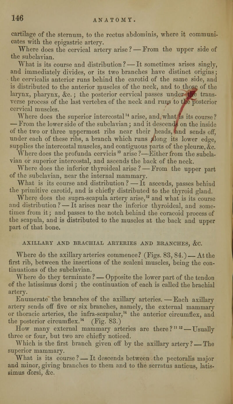 cartilage of the sternum, to the rectus abdominis, where it communi- cates with the epigastric artery. Where does the cervical artery arise ? — From the upper side of the subclavian. What is its course and distribution ? — It sometimes arises singly, and immediately divides, or its two branches have distinct origins; the cervicalis anterior runs behind the carotid of the same side, and is distributed to the anterior muscles of the neck, and to those of the larynx, pharynx, &c.; the posterior cervical passes under jK trans- verse process of the last vertebra of the neck and runs to iJfcposterior cervical muscles. Where does the superior intercostal,4 arise, and, what^s its course ? — From the lower side of the subclavian; and it descend! on the inside of the two or three uppermost ribs near their heads, end sends off, under each of these ribs, a branch which runs /long its lower edge, supplies the intercostal muscles, and contiguous parts of the pleuras, &c. Where does the profunda cervicisI0 arise ?—Either from the subcla- vian or superior intercostal, and ascends the back of the neck. Where does the inferior thyroideal arise? — From the upper part of the subclavian, near the internal mammary. What is its course and distribution?—It ascends, passes behind the primitive carotid, and is chiefly distributed to the thyroid gland. Where does the supra-scapula artery arise,12 and what is its course and distribution ? — It arises near the inferior thyroideal, and some- times from it; and passes to the notch behind the coracoid process of the scapula, and is distributed to the muscles at the back and upper part of that bone. AXILLARY AND BRACHIAL ARTERIES AND BRANCHES, &C. Where do the axillary arteries commence? (Figs. 83, 84.) — At the first rib, between the insertions of the scaleni muscles, being the con- tinuations of the subclavian. Where do they terminate ? — Opposite the lower part of the tendon of the latissimus dorsi; the continuation of each is called the brachial artery. Enumerate the branches of the axillary arteries. — Each axillary artery sends off five or six branches, namely, the external mammary or thoracic arteries, the infra-scapular,14 the anterior circumflex, and the posterior circumflex.14 (Fig. 83.) How many external mammary arteries are there?1112 — Usually three or four, but two are chiefly noticed. Which is the first branch given off by the axillary artery ? — The superior mammary. What is its course ? — It descends between the pectoralis major and minor, giving branches to them and to the serratus anticus, latis- simus dbrsi, &c.
