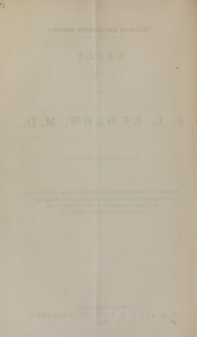 digitised image 2