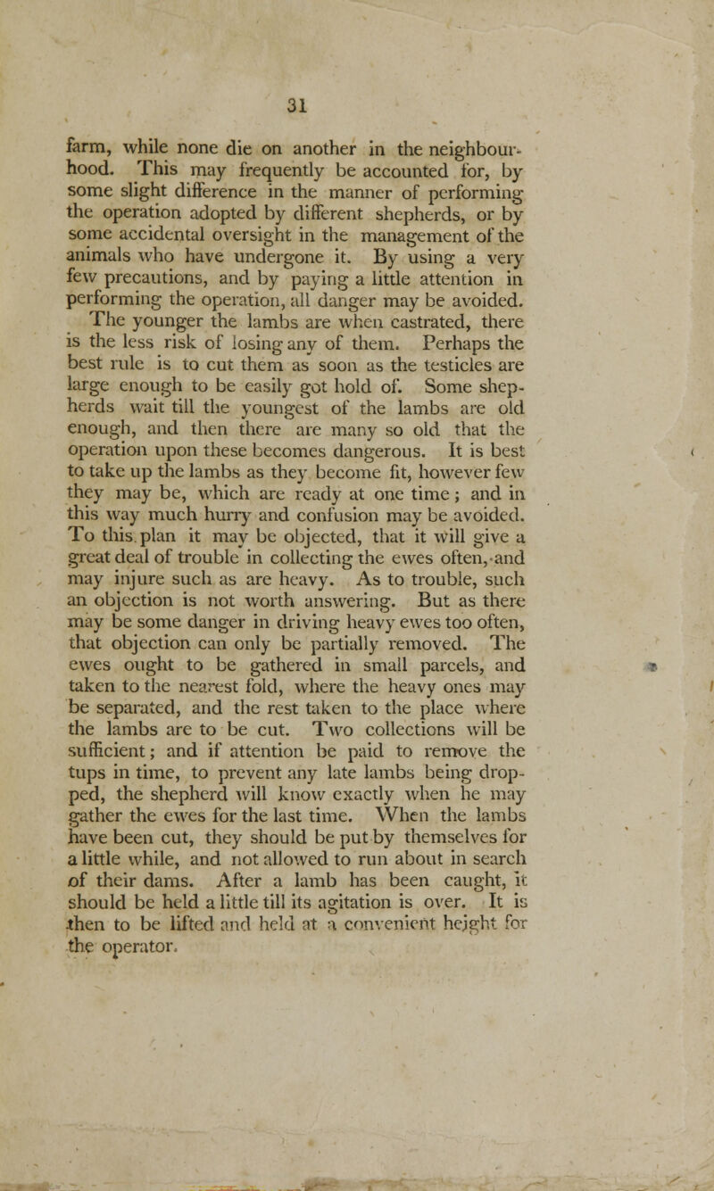farm, while none die on another in the neighbour- hood. This may frequently be accounted for, by some slight difference in the manner of performing the operation adopted by different shepherds, or by some accidental oversight in the management of the animals who have undergone it. By using a very few precautions, and by paying a little attention in performing the operation, all danger may be avoided. The younger the lambs are when castrated, there is the less risk of losing any of them. Perhaps the best rule is to cut them as soon as the testicles are large enough to be easily got hold of. Some shep- herds wait till the youngest of the lambs are old enough, and then there are many so old that the operation upon these becomes dangerous. It is best to take up the lambs as they become fit, however few they may be, which are ready at one time; and in this way much hurry and confusion may be avoided. To this, plan it may be objected, that it will give a great deal of trouble in collecting the ewes often,-and may injure such as are heavy. As to trouble, such an objection is not worth answering. But as there may be some danger in driving heavy ewes too often, that objection can only be partially removed. The ewes ought to be gathered in small parcels, and taken to the nearest fold, where the heavy ones may be separated, and the rest taken to the place where the lambs are to be cut. Two collections will be sufficient; and if attention be paid to remove the tups in time, to prevent any late lambs being drop- ped, the shepherd will know exactly when he may gather the ewes for the last time. When the lambs have been cut, they should be put by themselves for a little while, and not allowed to run about in search of their dams. After a lamb has been caught, It should be held a little till its agitation is over. It is then to be lifted and held at a convenient height for the operator.