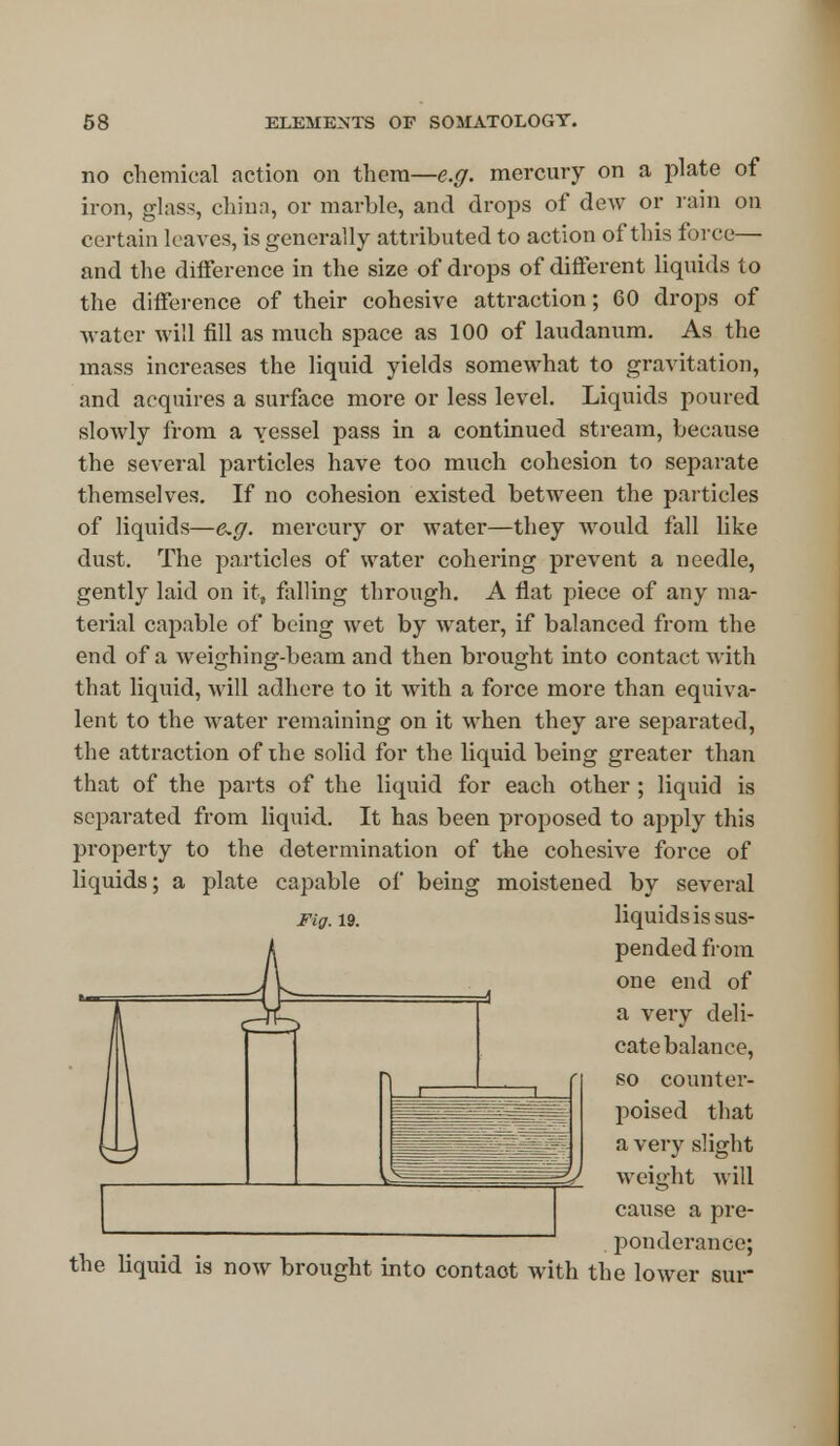 no chemical action on them—e.g. mercury on a plate of iron, glass, china, or marble, and drops of dew or rain on certain leaves, is generally attributed to action of this force— and the difference in the size of drops of different liquids to the difference of their cohesive attraction; 60 drops of water will fill as much space as 100 of laudanum. As the mass increases the liquid yields somewhat to gravitation, and acquires a surface more or less level. Liquids poured slowly from a vessel pass in a continued stream, because the several particles have too much cohesion to separate themselves. If no cohesion existed between the particles of liquids—e.g. mercury or water—they would fall like dust. The particles of water cohering prevent a needle, gently laid on it, falling through. A flat piece of any ma- terial capable of being wet by water, if balanced from the end of a weighing-beam and then brought into contact with that liquid, will adhere to it with a force more than equiva- lent to the water remaining on it when they are separated, the attraction of ihe solid for the liquid being greater than that of the parts of the liquid for each other ; liquid is separated from liquid. It has been proposed to apply this property to the determination of the cohesive force of liquids; a plate capable of being moistened by several ng. 19. liquids is sus- pended from one end of a very deli- cate balance, so counter- poised that a very slight weight will cause a pre- . ponderance; the liquid is now brought into contaot with the lower but