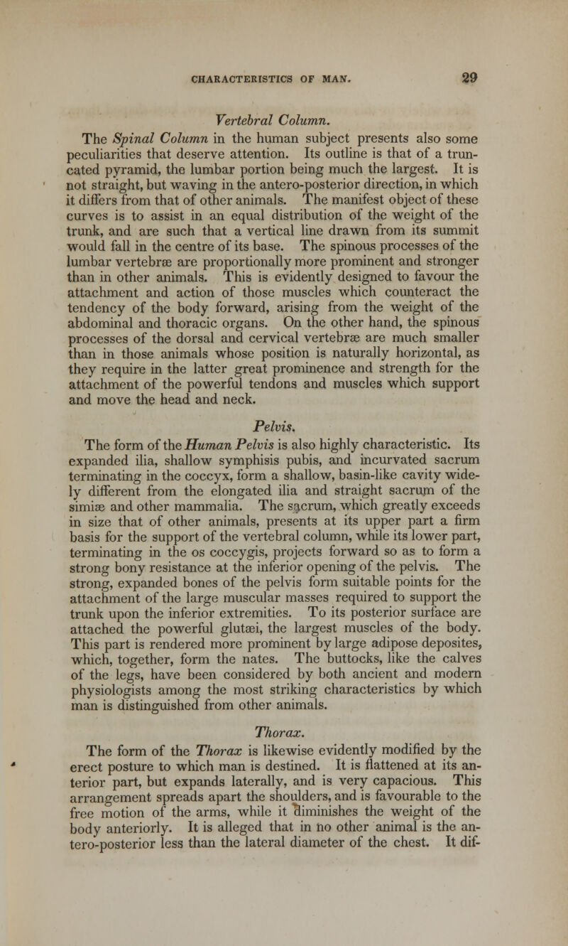 Vertebral Column. The Spinal Column in the human subject presents also some peculiarities that deserve attention. Its outline is that of a trun- cated pyramid, the lumbar portion being much the largest. It is not straight, but waving in the antero-posterior direction, in which it differs from that of other animals. The manifest object of these curves is to assist in an equal distribution of the weight of the trunk, and are such that a vertical line drawn from its summit would fall in the centre of its base. The spinous processes of the lumbar vertebrae are proportionally more prominent and stronger than in other animals. This is evidently designed to favour the attachment and action of those muscles which counteract the tendency of the body forward, arising from the weight of the abdominal and thoracic organs. On the other hand, the spinous processes of the dorsal and cervical vertebrae are much smaller than in those animals whose position is naturally horizontal, as they require in the latter great prominence and strength for the attachment of the powerful tendons and muscles which support and move the head and neck. Pelvis. The form of the Human Pelvis is also highly characteristic. Its expanded ilia, shallow symphisis pubis, and incurvated sacrum terminating in the coccyx, form a shallow, basin-like cavity wide- ly different from the elongated ilia and straight sacrum of the simise and other mammalia. The sacrum, which greatly exceeds in size that of other animals, presents at its upper part a firm basis for the support of the vertebral column, while its lower part, terminating in the os coccygis, projects forward so as to form a strong bony resistance at the inferior opening of the pelvis. The strong, expanded bones of the pelvis form suitable points for the attachment of the large muscular masses required to support the trunk upon the inferior extremities. To its posterior surface are attached the powerful glutaei, the largest muscles of the body. This part is rendered more prominent by large adipose deposites, which, together, form the nates. The buttocks, like the calves of the legs, have been considered by both ancient and modern physiologists among the most striking characteristics by which man is distinguished from other animals. Thorax. The form of the Thorax is likewise evidently modified by the erect posture to which man is destined. It is flattened at its an- terior part, but expands laterally, and is very capacious. This arrangement spreads apart the shoulders, and is favourable to the free motion of the arms, while it 'diminishes the weight of the body anteriorly. It is alleged that in no other animal is the an- tero-posterior less than the lateral diameter of the chest. It dif-