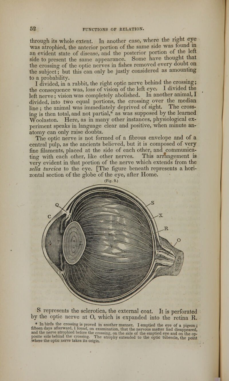 through its whole extent. In another case, where the right eye was atrophied, the anterior portion of the same side was found in an evident state of disease, and the posterior portion of the left side to present the same appearance. Some have thought that the crossing of the optic nerves in fishes removed every doubt on the subject; but this can only be justly considered as amounting to a probability. I divided, in a rabbit, the right optic nerve behind the crossing; the consequence was, loss of vision of the left eye. I divided the left nerve; vision was completely abolished. In another animal, I divided, into two equal portions, the crossing over the median line ; the animal was immediately deprived of sight. The cross- ing is then total, and not partial,* as was supposed by the learned Woolaston. Here, as in many other instances, physiological ex- periment speaks in language clear and positive, when minute an- atomy can only raise doubts. The optic nerve is not formed of a fibrous envelope and of a central pulp, as the ancients believed, but it is composed of very fine filaments, placed at the side of each other, and communica- ting with each other, like other nerves. This arrangement is very evident in that portion of the nerve which extends from the sella turcica to the eye. [The figure beneath represents a hori- zontal section of the globe of the eye, after Home. (Fig. 9.) S represents the sclerotica, the external coat. It is perforated by the optic nerve at O, which is expanded into the retina R. * In birds the crossing is proved in another manner. I emptied the eye of a pigeon; fifteen days afterward, I lound, on examination, that the nervous matter had disappeared, and the nerve atrophied before the crossing, on the side of the emptied eye and on the op- posite side behind the crossing. The atrophy extended to the optic tubercle, the point where the optic nerve takes its origin.