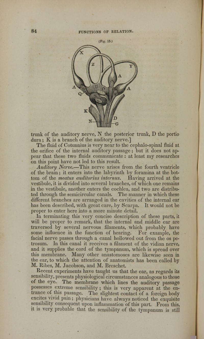 (Fig. 15.) trunk of the auditory nerve, N the posterior trunk, D the portio dura; K is a branch of the auditory nerve.] The fluid of Cotunnius is very near to the cephalo-spinal fluid at the orifice of the internal auditory passage; but it does not ap- pear that these two fluids communicate : at least my researches on this point have not led to this result. Auditory Nerve.—This nerve arises from the fourth ventricle of the brain; it enters into the labyrinth by foramina at the bot- tom of the meatus auditorius internus. Having arrived at the vestibule, it is divided into several branches, of which one remains in the vestibule, another enters the cochlea, and two are distribu- ted through the semicircular canals. The manner in which these different branches are arranged in the cavities of the internal ear has been described, with great care, by Scarpa. It would not be proper to enter here into a more minute detail. In terminating this very concise description of these parts, it will be proper to remark, that the internal and middle ear are traversed by several nervous filaments, which probably have some influence in the function of hearing. For example, the facial nerve passes through a canal hollowed out from the os pe- trosum. In this canal it receives a filament of the vidian nerve, and it supplies the cord of the tympanum, which is spread over this membrane. Many other anastomoses are likewise seen in the ear, to which the attention of anatomists has been called by M. Ribes, M. Jacobson, and M. Breschet. Recent experiments have taught us that the ear, as regards its sensibility, presents physiological circumstances analogous to those of the eye. The membrane which lines the auditory passage possesses extreme sensibility; this is very apparent at the en- trance of this passage. The slightest contact of a foreign body excites vivid pain; physicians have always noticed the exquisite sensibility consequent upon inflammation of this part. From this, it is very probable that the sensibility of the tympanum is still