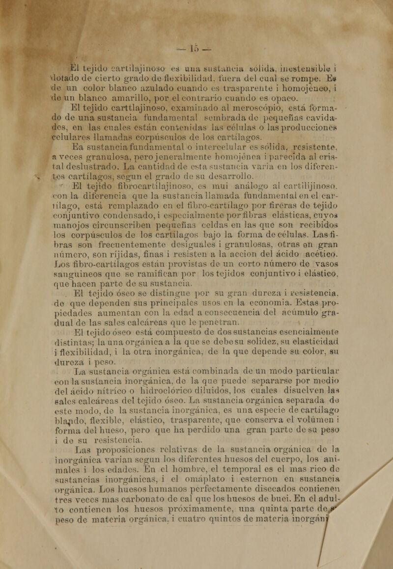 El tejido eartilajinoso es una sustancia sólida, Luestensiblíí i ■lutado de cierto grado de-flexibilidad, fuera del cual se rompe. E» de un color blanco azulado cuando es trasparente i homojeneo, i de un blanco amarillo, por el contrario cuando es opaco. El tejido carttlajinoso, examinado al meroseópió, esta forma- do de una sustancia fundamental sembrada de pequeñas cavida- des, en las cuales están contenidas las células o las producciones celulares llamadas corpúsculos do los cartílagos. Ea sustancia fundamental o intercelular es sólida, resistente, aveces granulosa, perojeneralmente homojénoa i parecida al cris- tal deslustrado. La cantidad de esta sustancia varia eu los diferen- tes cartílagos, según el grado de su desarrollo. El tejido fibrocartilajinoso, es mui análogo al eartilijinoso. con la diferencia que la sustancia llamada fundamental en el car- tílago, está remplazado en el Abro-cartílago por firéras do tejido conjuntivo eondensado,i especialmente-por fibras elásticas, cuyos manojos circunscriben pequeña:} celdas en las que son recibidos los corpúsculos de los cartílagos bajóla forma de células. Las fi- bras son frecuentemente desiguales i granulosas, otras on gran número, son ríjidas, finas i resisten a la acción del ácido acético. Los nbro-cartilagos están provistas de un corto número de vasos sanguíneos que se ramifican por los tejidos conjuntivo i elástico, que hacen parto de su sustancia. El tejido óseo se distingue por su gran dureza i resistencia, do que dependen sus principales usos en la economía. Estas pro- piedades aumentan con la edad a consecuencia del acumulo gra- dual de las sales calcáreas que le penetran. El tejido óseo está compuesto de dos sustancias esencialmente distintas;' la una orgánica a la que se debe su solidez, su elasticidad i flexibilidad, i la otra inorgánica, de la que depende su color, su dureza i peso. La sustancia orgánica esta combinada de un modo particular con la sustancia inorgánica, de la que puedo separarse por medio del ácido nítrico o hidroclórico diluidos, los cuales disuelven las sales calcáreas del tejido óseo. La sustancia orgánica separada do este modo.de la sustancia inorgánica, es una especie de cartílago blando, flexible, elástico, trasparente, quo conserva el volumen i forma del hueso, pero que ha perdido una gran parte do su peso i do su resistencia. Las proposiciones relativas de la sustancia orgánica do la inorgánica varian según los diferentes huesos del cuerpo, los ani- males i los edades. En el hombre, el temporal es el mas rico do sustancias inorgánicas, i el omáplato i esternón en sustancia orgánica. Los huesos humanos perfectamente disecados contienen tres veces mas carbonato de cal rpie los huesos de buci. En el adub, lo contienen los huesos próximamente, una quinta parte d< poso de materia orgánica, i cuatro quintos de materia inorgánj