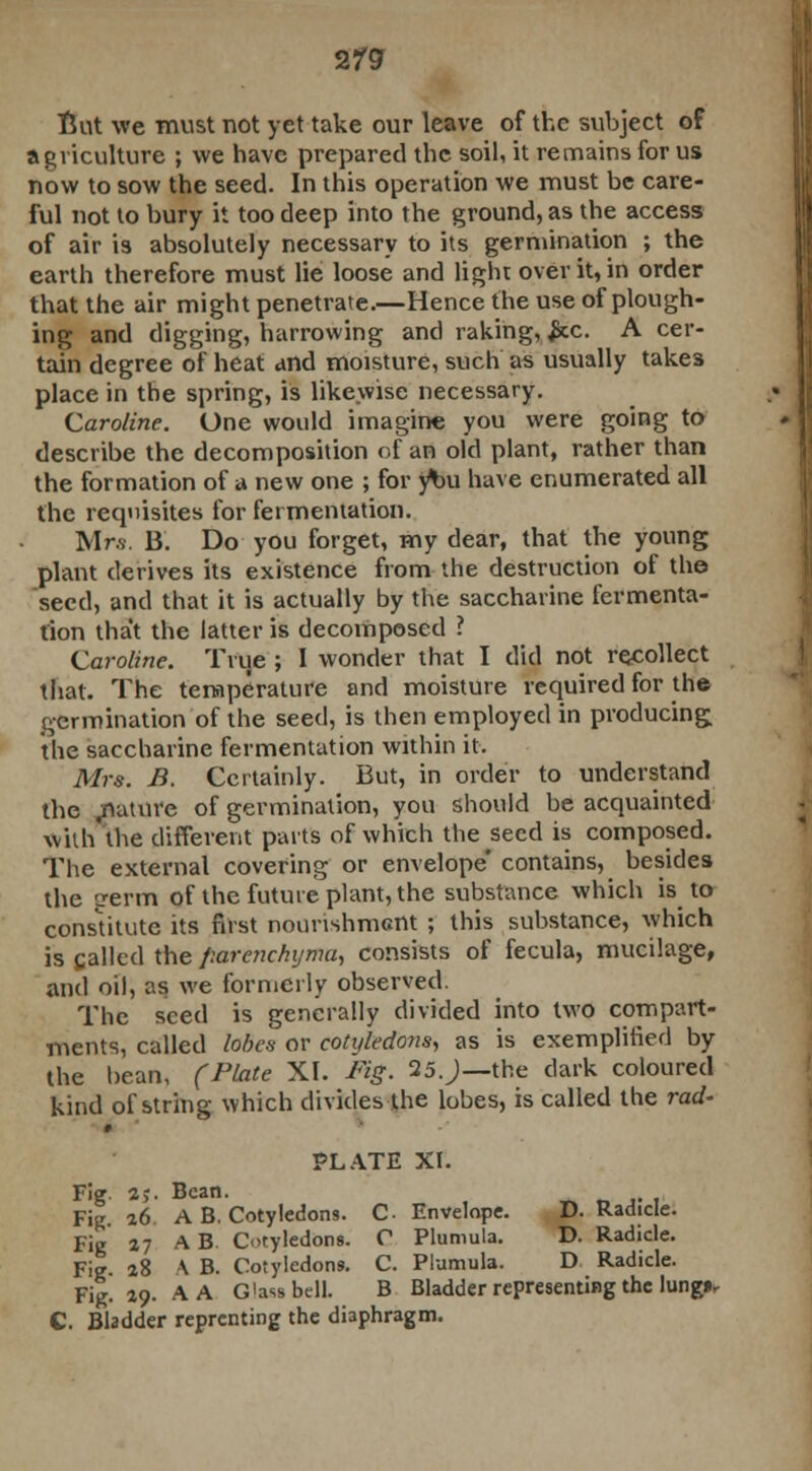 But we must not yet take our leave of the subject of agriculture ; we have prepared the soil, it remains for us now to sow the seed. In this operation we must be care- ful not to bury it too deep into the ground, as the access of air is absolutely necessary to its germination ; the earth therefore must lie loose and light over it, in order that the air might penetrate.—Hence the use of plough- ing and digging, harrowing and raking, &c. A cer- tain degree of heat and moisture, such as usually take3 place in the spring, is likewise necessary. Caroline. One would imagine you were going to describe the decomposition of an old plant, rather than the formation of a new one ; for y\>u have enumerated all the requisites for fermentation. Mrs. 13. Do you forget, my dear, that the young plant derives its existence from the destruction of the seed, and that it is actually by the saccharine fermenta- tion that the latter is decomposed ? Caroline. True ; I wonder that I did not recollect that. The temperature and moisture required for the germination of the seed, is then employed in producing; the saccharine fermentation within it. Mrs. B. Certainly. But, in order to understand the .nature of germination, you should be acquainted with the different parts of which the seed is composed. The external covering or envelope' contains, besides the perm of the future plant, the substance which is to constitute its first nourishment ; this substance, which is called the parenchyma, consists of fecula, mucilage, and oil, as we formerly observed. The seed is generally divided into two compart- ments, called lobes or cotyledons, as is exemplified by the bean, (Plate XI. Pig. 25. )—the dark coloured kind of string which divides the lobes, is called the rad~ i PLATE XI. Fig. 2j. Bean. Fig. 26 A B. Cotyledons. C Envelope. D. Radicle. Fig 27 AB. Cotyledons. C Plumula. D. Radicle. Fig. 28 \ B. Cotyledons. C. Plumula. D Radicle. Fig. 29. A A G'ass bell. B Bladder representing the lung»r C. Bladder reprcnting the diaphragm.