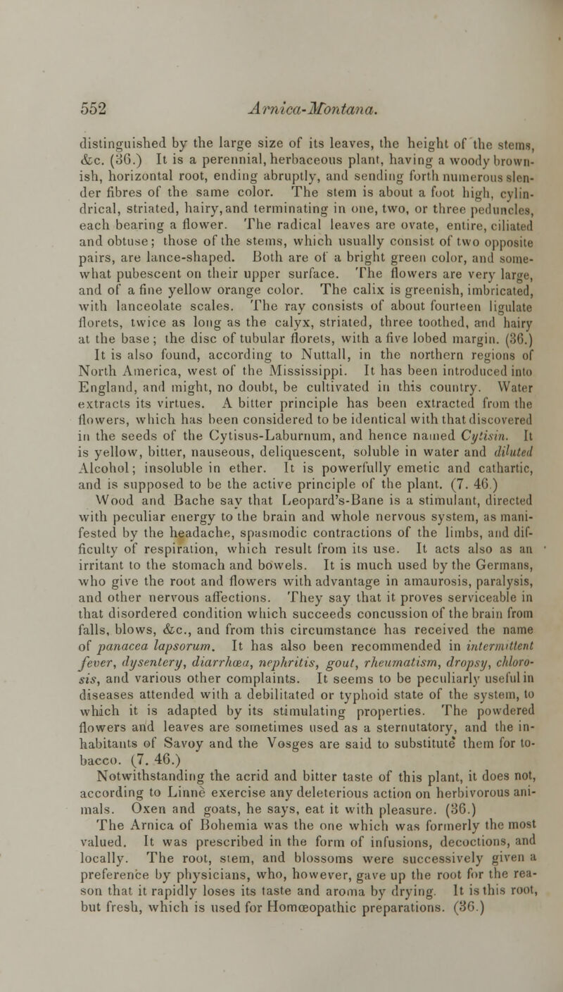 distinguished by the large size of its leaves, the height of the stems, &c. (36.) It is a perennial, herbaceous plant, having a woody brown- ish, horizontal root, ending abruptly, and sending forth numerous dea- der fibres of the same color. The stem is about a foot high, cylin- drical, striated, hairy, and terminating in one, two, or three peduncles, each bearing a flower. The radical leaves are ovate, entire, ciliated and obtuse; those of the stems, which usually consist of two opposite pairs, are lance-shaped. Both are of a bright green color, and some- what pubescent on their upper surface. The flowers are very large, and of a fine yellow orange color. The calix is greenish, imbricated, with lanceolate scales. The ray consists of about fourteen ligulate florets, twice as long as the calyx, striated, three toothed, and hairy at the base; the disc of tubular florets, with a five lobed margin. (36.) It is also found, according to Nuttall, in the northern regions of North America, west of the Mississippi. It has been introduced into England, and might, no doubt, be cultivated in this country. Water extracts its virtues. A bitter principle has been extracted from the flowers, which has been considered to be identical with that discovered in the seeds of the Cytisus-Laburnum, and hence named Cytisin. It is yellow, bitter, nauseous, deliquescent, soluble in water and diluted Alcohol; insoluble in ether. It is powerfully emetic and cathartic, and is supposed to be the active principle of the plant. (7. 46.) Wood and Bache say that Leopard's-Bane is a stimulant, directed with peculiar energy to the brain and whole nervous system, as mani- fested by the headache, spasmodic contractions of the limbs, and dif- ficulty of respiration, which result from its use. It acts also as an irritant to the stomach and bowels. It is much used by the Germans, who give the root and flowers with advantage in amaurosis, paralysis, and other nervous affections. They say that it proves serviceable in that disordered condition which succeeds concussion of the brain from falls, blows, &c, and from this circumstance has received the name of panacea lapsorum. It has also been recommended in intermittent fever, dysentery, diarrhcea, nephritis, gout, rheumatism, dropsy, chloro- sis, and various other complaints. It seems to be peculiarly useful in diseases attended with a debilitated or typhoid state of the system, to which it is adapted by its stimulating properties. The powdered flowers and leaves are sometimes used as a sternutatory, and the in- habitants of Savoy and the Vosges are said to substitute them for to- bacco. (7. 46.) Notwithstanding the acrid and bitter taste of this plant, it does not, according to Linne exercise any deleterious action on herbivorous ani- mals. Oxen and goats, he says, eat it with pleasure. (36.) The Arnica of Bohemia was the one which was formerly the most valued. It was prescribed in the form of infusions, decoctions, and locally. The root, stem, and blossoms were successively given a preference by physicians, who, however, gave up the root for the rea- son that it rapidly loses its taste and aroma by drying. It is this root, but fresh, which is used for Homoeopathic preparations. (3G.)