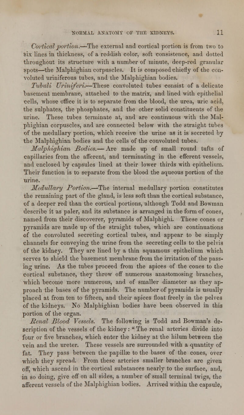 Cortical portion.—The external and cortical portion is from two to six lines in thickness, of a reddish color, soft consistence, and dotted throughout its structure with a number of minute, deep-red granular spots—the Malphighian corpuscles. It is composed chiefly of the con- voluted uriniferous tubes, and the Malphighian bodies. Tubuli Uriniferi.—These convoluted tubes consist of a delicate basement membrane, attached to the matrix, and lined with epithelial cells, whose office it is to separate from the blood, the urea, uric acid, the sulphates, the phosphates, and the other solid constituents of the urine. These tubes terminate at, and are continuous with the Mal- phighian corpuscles, and are connected below with the straight tubes of the medullary portion, which receive the urine as it is secreted by the Malphighian bodies and the cells of the convoluted tubes. Malphighian Bodies.— Are made up of small round tufts of capillaries from the afferent, and terminating in the efferent vessels, and enclosed by capsules lined at their lower thirds with epithelium. Their function is to separate from the blood the aqueous portion of the urine. Medullary Portion.—The internal medullary portion constitutes the remaining part of the gland, is less soft than the cortical substance, of a deeper red than the cortical portions, although Todd and Bowman describe it as paler, and its substance is arranged in the form of cones, named from their discoverer, pyramids of Malphighi. These cones or pyramids are made up of the straight tubes, whieh are continuations of the convoluted secreting cortical tubes, and appear to be simply channels for conveying the urine from the secreting cells to the pelvis of the kidney. They are lined by a thin squamous epithelium which serves to shield the basement membrane from the irritation of the pass- ing urine. As the tubes proceed from the apices of the cones to the cortical substance, they throw off numerous anastomosing branches, which become more numerous, and of smaller diameter as they ap- proach the bases of the pyramids. The number of pyramids is usually placed at from ten to fifteen, and their apices float freely in the pelves of the kidneys. No Malphighian bodies have been observed in this portion of the organ. Renal Blood Vessels. The following is Todd and Bowman's de- scription of the vessels of the kidney:  The renal arteries divide into four or five branches, which enter the kidney at the hilum between the vein and the ureter. These vessels are surrounded with a quantity of fat. They pass between the papillae to the bases of the cones, over which they spread. From these arteries smaller branches are given off, which ascend in the cortical substances nearly to the surface, and, in so doing, give off on all sides, a number of small terminal twigs, the afferent vessels of the Malphighian bodies. Arrived within the capsule,