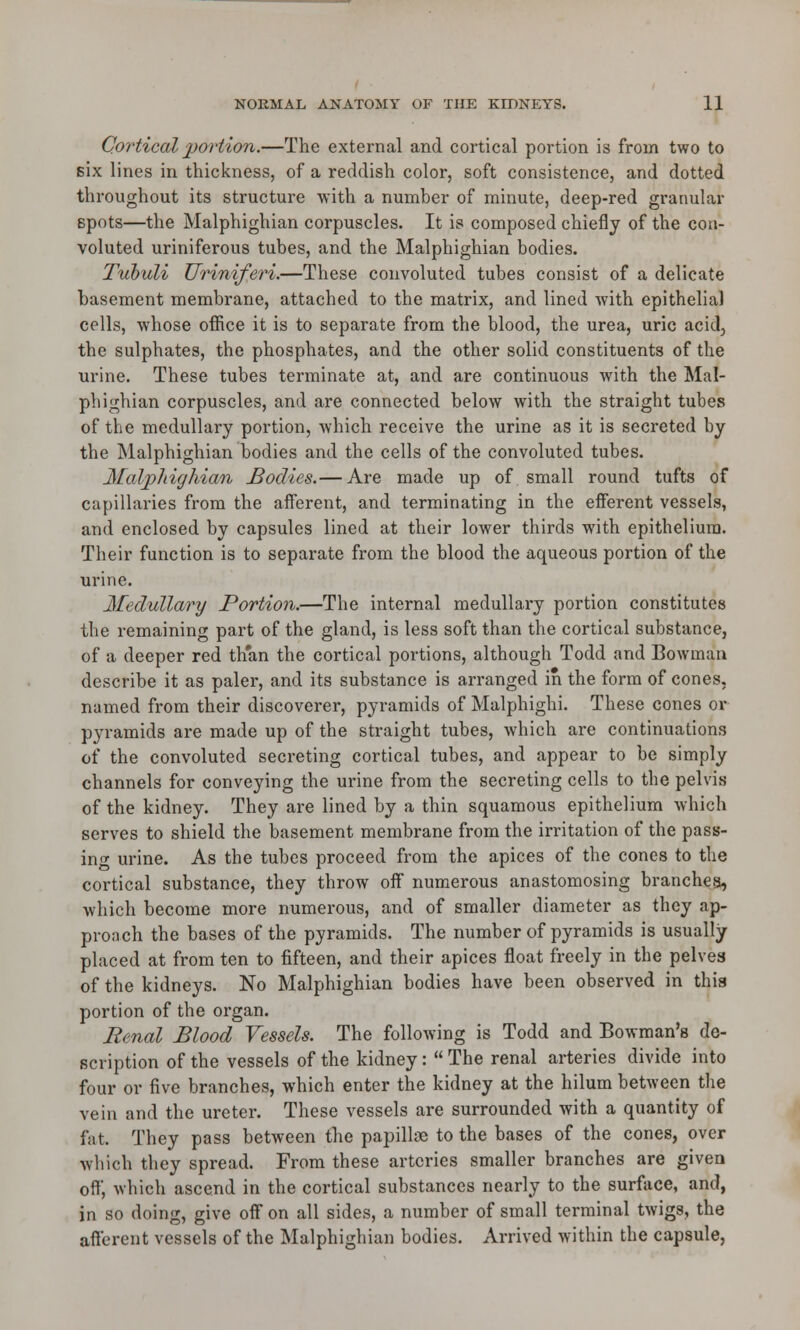 Cortical portion.—The external and cortical portion is from two to six lines in thickness, of a reddish color, soft consistence, and dotted throughout its structure with a number of minute, deep-red granular spots—the Malphighian corpuscles. It is composed chiefly of the con- voluted uriniferous tubes, and the Malphighian bodies. Tubuli Uriniferi.—These convoluted tubes consist of a delicate basement membrane, attached to the matrix, and lined with epithelial cells, whose office it is to separate from the blood, the urea, uric acid, the sulphates, the phosphates, and the other solid constituents of the urine. These tubes terminate at, and are continuous with the Mal- phighian corpuscles, and are connected below with the straight tubes of the medullary portion, which receive the urine as it is secreted by the Malphighian bodies and the cells of the convoluted tubes. Malphighian Bodies.— Are made up of small round tufts of capillaries from the afferent, and terminating in the efferent vessels, and enclosed by capsules lined at their lower thirds with epithelium. Their function is to separate from the blood the aqueous portion of the urine. Medullary Portion.—The internal medullary portion constitutes the remaining part of the gland, is less soft than the cortical substance, of a deeper red th'an the cortical portions, although Todd and Bowman describe it as paler, and its substance is arranged in the form of cones, named from their discoverer, pyramids of Malphighi. These cones or pyramids are made up of the straight tubes, which are continuations of the convoluted secreting cortical tubes, and appear to be simply channels for conveying the urine from the secreting cells to the pelvis of the kidney. They are lined by a thin squamous epithelium which serves to shield the basement membrane from the irritation of the pass- in<* urine. As the tubes proceed from the apices of the cones to the cortical substance, they throw off numerous anastomosing branches, which become more numerous, and of smaller diameter as they ap- proach the bases of the pyramids. The number of pyramids is usually placed at from ten to fifteen, and their apices float freely in the pelves of the kidneys. No Malphighian bodies have been observed in this portion of the organ. Renal Blood Vessels. The following is Todd and Bowman's de- scription of the vessels of the kidney:  The renal arteries divide into four or five branches, which enter the kidney at the hilum between the vein and the ureter. These vessels are surrounded with a quantity of fat. They pass between the papillae to the bases of the cones, over which they spread. From these arteries smaller branches are given off, which ascend in the cortical substances nearly to the surface, and, in so doing, give off on all sides, a number of small terminal twigs, the afferent vessels of the Malphighian bodies. Arrived within the capsule,