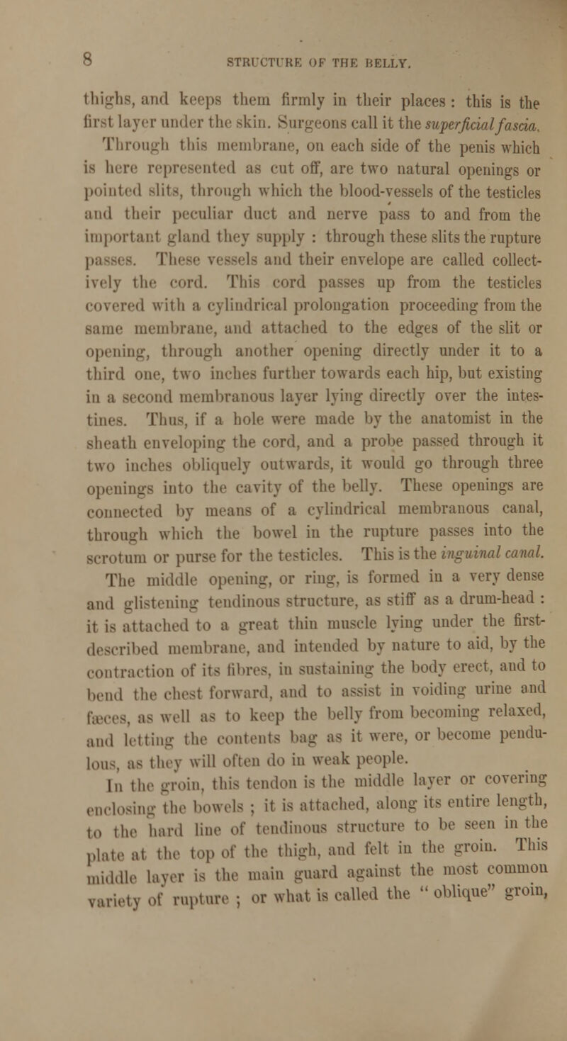 O STRUCTl'RK OF THE HELLY. thighs, and keeps them firmly in their places: this is the firsl layer under the skin. Surgeons call it the superficial fascia. Through this membrane, on each side of the penis which is lure represented as cut off, are two natural openings or pointed slits, through which the blood-vessels of the testicles and their peculiar duct and nerve pass to and from the important gland they supply : through these slits the rupture passes. These vessels and their envelope are called collect- ively the cord. This cord passes up from the testicles covered with a cylindrical prolongation proceeding from the same membrane, and attached to the edges of the slit or opening, through another opening directly under it to a third one, two inches further towards each hip, but existing in a second membranous layer lying directly over the intes- tines. Thus, if a hole were made by the anatomist in the sheath enveloping the cord, and a probe passed through it two inches obliquely outwards, it would go through three openings into the cavity of the belly. These openings are connected by means of a cylindrical membranous canal, through which the bowel in the rupture passes into the scrotum or purse for the testicles. This is the inguinal canal. The middle opening, or ring, is formed in a very dense and glistening tendinous structure, as stiff as a drum-head : it is attached to a great thin muscle lying under the first- described membrane, and intended by nature to aid, by the contraction o( its fibres, in sustaining the body erect, and to bend the chest forward, and to assist in voiding urine and fares, as well as to keep the belly from becoming relaxed, and letting the contents bag as it were, or become pendu- lous, as they will often do in weak people. In the groin, this tendon is the middle layer or covering enclosing the bowels ; it is attached, along its entire length, 1o the hard line of tendinous structure to be seen in the plftte .,, the top of the thigh, and felt in the groin. This middle layer is the main guard against the most common variety of rapture ; or what is called the  oblique grom,