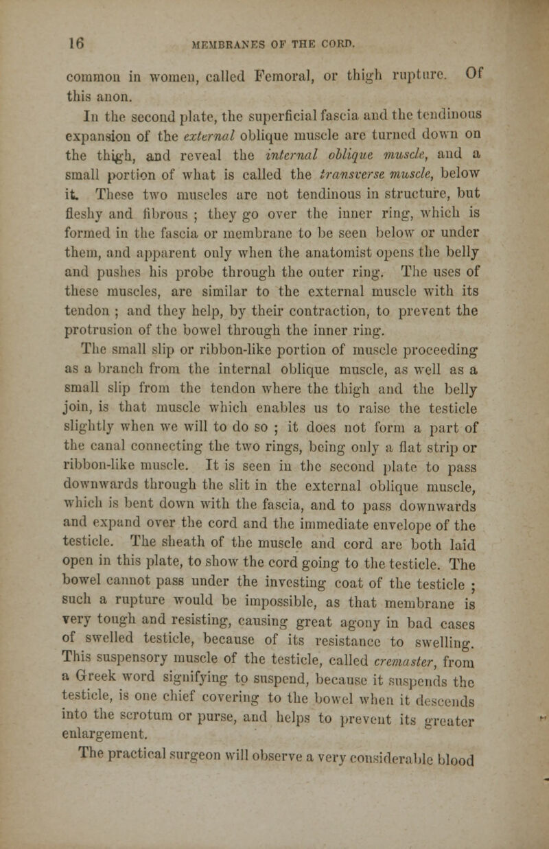 common in women, called Femoral, or thigh rupture. Of this anon. In the second plate, the superficial fascia and the tendinous expansion of the external oblique muscle are turned down on the thigh, and reveal the internal oblique muscle, and a, small portion of what is called the transverse muscle, below it. These two muscles arc not tendinous in structure, but fleshy and fibrous ; they go over the inner ring, which is formed in the fascia or membrane to be seen below or under them, and apparent only when the anatomist opens the belly and pushes his probe through the outer ring. The uses of these muscles, are similar to the external muscle with its tendon ; and they help, by their contraction, to prevent the protrusion of the bowel through the inner ring. The small slip or ribbondike portion of muscle proceeding as a branch from the internal oblique muscle, as well as a small slip from the tendon where the thigh and the belly join, is that muscle which enables us to raise the testicle slightly when we will to do so ; it does not form a part of the canal connecting the two rings, being only a flat strip or ribbon-like muscle. It is seen in the second plate to pass downwards through the slit in the external oblique muscle, Which is bent down with the fascia, and to pass downwards and expand over the cord and the immediate envelope of the testicle. The sheath of the muscle and cord are both laid open in this plate, to show the cord going to the testicle. The bowel cannot pass under the investing coat of the testicle • such a rupture would be impossible, as that membrane is very tough and resisting, causing great agony in bad cases of swelled testicle, because of its resistance to swelling. This suspensory muscle of the testicle, called cremaster, from a Greek word signifying to suspend, because it suspends the testicle, is one chief covering to the bowel when it descend* into the scrotum or purse, and helps to prevent its greater enlargement. The practical surgeon will observe a very considerable blood