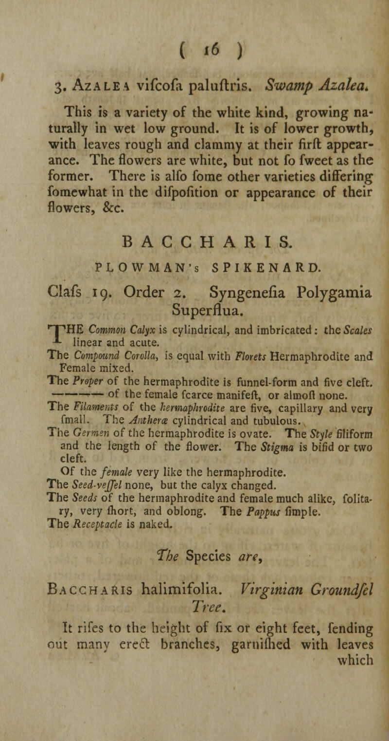3. Azalea vifcofa paluftris. Swamp Azalea. This is a variety of the white kind, growing na- turally in wet low ground. It is of lower growth, with leaves rough and clammy at their firft appear- ance. The flowers are white, but not fo fweet as the former. There is alfo fome other varieties differing fomewhat in the difpofition or appearance of their flowers, &c. BACCHARIS. PLOWMAN'S SPIKENARD. Clafs 19. Order 2. Syngenefia Polygamia Superflua. T^HE Common Calyx is cylindrical, and imbricated: the Scales •*- linear and acute. The Compound Corolla, is equal with Florets Hermaphrodite and Female mixed. The Proper of the hermaphrodite is funnel-form and five cleft. — of the female fcarce manifeft, or almoft none. The Filaments of the hermaphrodite are five, capillary and very fmall. The Anther a cylindrical and tubulous. The Germen of the hermaphrodite is ovate. The Style filiform and the length of the flower. The Stigma is bifid or two cleft. Of the female very like the hermaphrodite. The Seed-vejjel none, but the calyx changed. The Seeds of the hermaphrodite and female much alike, folita- ry, very fhort, and oblong. The Pappus fimple. The Receptacle is naked. The Species are, BacchaRis halimifolia. Virginian Ground/el Tree, It rifes to the height of fix or eight feet, fending out many erect branches, garnifhed with leaves which