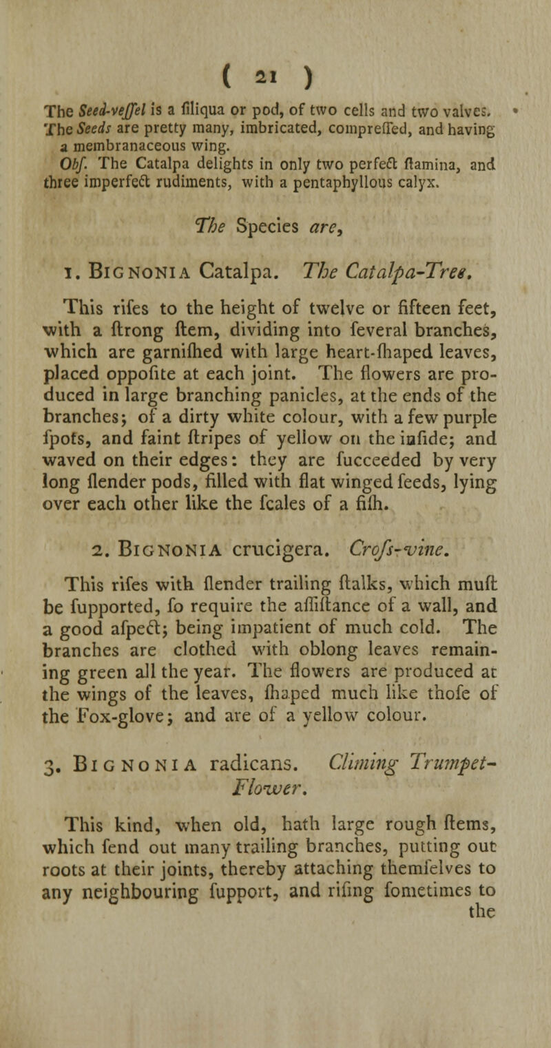 The Seed-veJJel is a filiqua or pod, of two cells and two valves. The Seeds are pretty many, imbricated, comprefTed, and having a membranaceous wing. Obf. The Catalpa delights in only two perfect ftamina, and three imperfeft rudiments, with a pentaphyllous calyx. The Species are, i. Bignonia Catalpa. The Catalpa-Tree, This rifes to the height of twelve or fifteen feet, with a ftrong Item, dividing into feveral branches, ■which are garnifhed with large heart-fhaped leaves, placed oppofite at each joint. The flowers are pro- duced in large branching panicles, at the ends of the branches; of a dirty white colour, with a few purple fpots, and faint flripes of yellow on the iafide; and waved on their edges: they are fucceeded by very long (lender pods, filled with flat winged feeds, lying over each other like the fcales of a filh. 2. Bignonia cnicigera. Crofs-<vine. This rifes with (lender trailing ftalks, which muft be fupported, fo require the afliftance of a wall, and a good afpeft; being impatient of much cold. The branches are clothed with oblong leaves remain- ing green all the year. The flowers are produced at the wings of the leaves, fhaped much like thofe of the Fox-glove; and are of a yellow colour. 3. Bignonia radicans. Climing Trumpet- Floiver. This kind, when old, hath large rough Items, which fend out many trailing branches, putting out roots at their joints, thereby attaching themfelves to any neighbouring fupport, and rifmg fometimes to