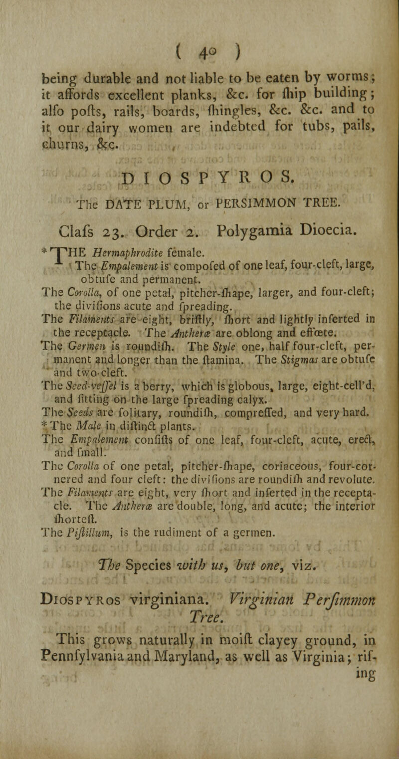 ( 4° ) being durable and not liable to be eaten by worms; it affords excellent planks, &c. for fliip building; alfo ports, rails, boards, fhingles, &c. &c. and to it our dairy women are indebted for tubs, pails, churns, Sec. D I O S P Y R O S. ■ The DATE PLUM, or PERSIMMON TREE. Clafs 23. Order 2. Polygamia Dioecia. * 'PHE Hermaphrodite female. A The Empalement is compofed of one leaf, four-cleft, large, obtufe and permanent. The Corolla, of one petal, pitcher-fhape, larger, and four-cleft; the divifions acute and fpreading. The Filaments are eight, briftly, fhort and lightly inferted in the receptacle. The Antherx are oblong and effoete. The Germen is roundifh. The Style one, half four-cleft, per- manent and longer than the ftamina. The Stigmas are obtufe and two-cleft. The Secd-ve[)el is a berry, which is globous» large, eight-cell'd, and fitting on the large fpreading calyx. The Seeds arc folitary, roundiih, comprefTed, and very hard. •!'Thc Mcde in diftinft plants. The Empalement confifts of one leaf, four-cleft, acute, erecl, and fmall. The Corolla of one petal, pitcber-fliape, coriaceous, four-cor- nered and four cleft: the divifions are roundiih andrevolute. The Filaments are eight, very fhort and inferted in the recepta- cle. The Anthem are double, long, and acute; the interior ihortcfh The Pijlillum, is the rudiment of a gcrmen. The Species with us, but one, viz. Diospyros virginiana. Virginian Perfimmon Tree. This grows naturally in moid clayey ground, in Pennfylvania and Maryland, as well as Virginia; rif- ing