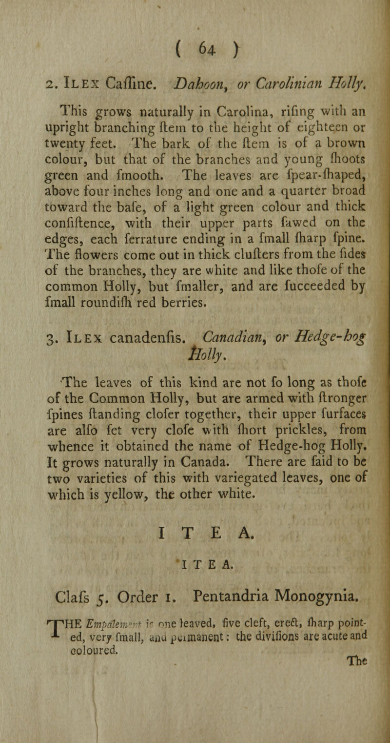 2. Ilex Caffine. Daboon, or Carolinian Holly. This grows naturally in Carolina, riling with an upright branching ftem to the height of eighteen or twenty feet. The bark of the ftem is of a brown colour, but that of the branches and young moots green and fmooth. The leaves are fpear-fhaped, above four inches long and one and a quarter broad toward the bafe, of a light green colour and thick confiftence, with their upper parts fawed on the edges, each ferrature ending in a fmall (harp fpine. The flowers come out in thick cluilers from the fides of the branches, they are white and like thofe of the common Holly, but fmaller, and are fucceeded by fmall roundifh red berries. 3. Ilex canadenfis. Canadian^ or Hedge-hog holly. The leaves of this kind are not fo long as thofe of the Common Holly, but are armed with ftronger fpines (landing clofer together, their upper furfaces are alfo fet very clofe with fhort prickles, from whence it obtained the name of Hedge-hog Holly, It grows naturally in Canada. There are faid to be two varieties of this with variegated leaves, one of which is yellow, the other white. I T E A. *I T E A. Clafs 5. Order 1. Pentandria Monogynia. ^pHE Etnpalemeht k- ^ne leaved, five cleft, ereft, fliarp point- * ed, very fmall, and pvainanent; the divifions are acute and coloured. The