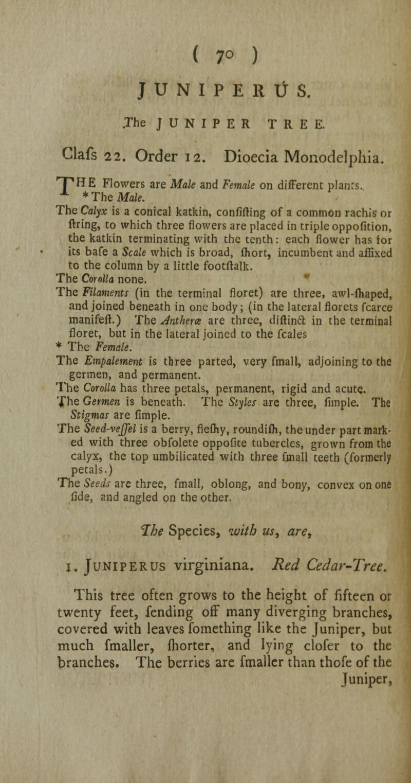 ( 7° ) JUNIPERUS. .The J U N I P E R TREE. Clafs 22. Order 12. Dioecia Monodelphia. 'T'HE Flowers are Male and Female on different plants. x * The Male. The Calyx is a conical katkin, confiding of a common rachis or ftring, to which three flowers are placed in triple oppofition, the katkin terminating with the tenth: each flower has tor its bafe a Scale which is broad, ihort, incumbent and affixed to the column by a little footftalk. The Corolla none. The Filaments (in the terminal floret) are three, awl-fliaped, and joined beneath in one body; (in the lateral florets fcarce manifeft.) The Jntherx are three, diftinct in the terminal floret, but in the lateral joined to the fcales * The Female. The Empalement is three parted, very fmall, adjoining to the germen, and permanent. The Corolla has three petals, permanent, rigid and acute. The Germen is beneath. The Styles are three, fimple. The Stigmas are fimple. The Seed-veJJel is a berry, flefhy, roundifh, the under part mark- ed with three obfolete oppofite tubercles, grown from the calyx, the top umbilicated with three fmall teeth (formerly petals.) The Seeds are three, fmall, oblong, and bony, convex on one fide, and angled on the other. The Species, with us, are, 1. Juniperus virginiana. Red Cedar-Tree. This tree often grows to the height of fifteen or twenty feet, fending off many diverging branches, covered with leaves fomething like the Juniper, but much fmaller, fhorter, and lying clofer to the branches. The berries are fmaller than thofe of the