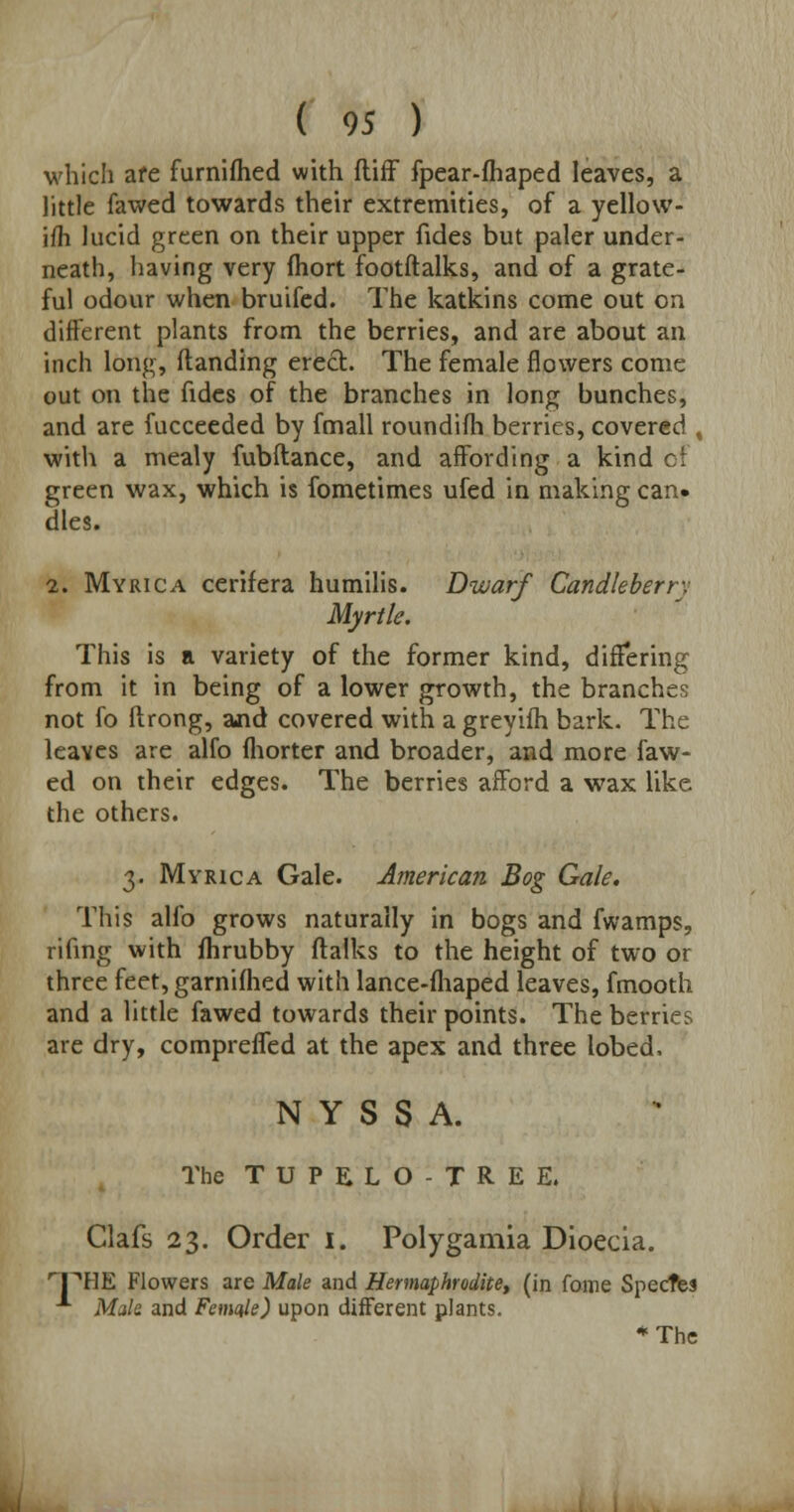which afe furnifhed with fliff fpear-fhaped leaves, a little fawed towards their extremities, of a yellow- ifh lucid green on their upper fides but paler under- neath, having very fhort footftalks, and of a grate- ful odour when bruifed. The katkins come out on different plants from the berries, and are about an inch long, (landing erect. The female flowers come out on the fides of the branches in long bunches, and are fucceeded by fmall roundifh berries, covered , with a mealy fubftance, and affording a kind of green wax, which is fometimes ufed in making can* dies. 2. Myrica cerifera humilis. Dwarf Candleberrv Myrtle. This is a variety of the former kind, differing from it in being of a lower growth, the branches not fo flrong, and covered with a greyifh bark. The leaves are alfo fhorter and broader, and more faw- ed on their edges. The berries afford a wax like the others. 3. Myrica Gale. American Bog Gale, This alio grows naturally in bogs and fwamps, rifing with fhrubby ftalks to the height of two or three feet, garnifhed with lance-fhaped leaves, fmooth and a little fawed towards their points. The berries are dry, compreffed at the apex and three lobed. N Y S S A. The T U P E L O - T R E E, Clafs 23. Order 1. Polygamia Dioecia. l^HE Flowers are Male and Hermaphrodite, (in fame Specfes A Malt and Female) upon different plants. *The