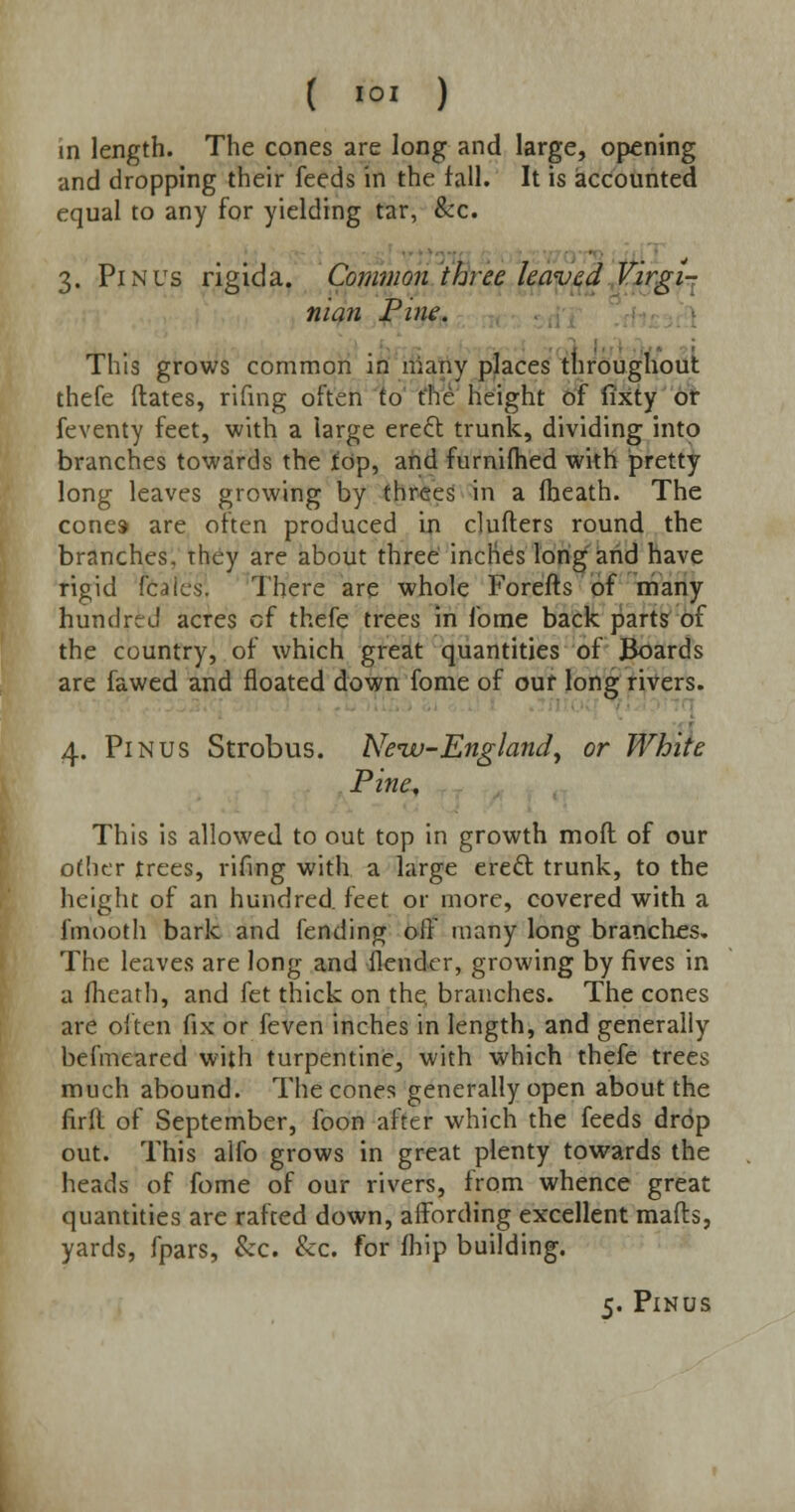 in length. The cones are long and large, opening and dropping their feeds in the fall. It is accounted equal to any for yielding tar, See. 3. Pin us rigid a. Common three leaved Virgi- nian Pine. This grows common in many places throughout thefe dates, rifing often to the height of fixty or feventy feet, with a large ereel: trunk, dividing into branches towards the top, and furnifhed with pretty long leaves growing by threes in a fheath. The cones are often produced in clufters round the branches, they are about three inches long and have rigid fcalcs. There are whole Forefts of many hundred acres of thefe trees in fome back parts of the country, of which great quantities of Boards are fawed and floated down fome of ouf long rivers. 4. Pinus Strobus. Neuu-England, or White Pine, This is allowed to out top in growth mofl of our other trees, rifing with a large erecl: trunk, to the height of an hundred feet or more, covered with a fmooth bark and fending off many long branches. The leaves are long and flender, growing by fives in a fheath, and fet thick on the, branches. The cones are often fix or feven inches in length, and generally befmeared with turpentine, with which thefe trees much abound. The cones generally open about the firfl of September, foon after which the feeds drop out. This alfo grows in great plenty towards the heads of fome of our rivers, from whence great quantities are rafted down, affording excellent mafls, yards, fpars, &c. &c. for fhip building. c. Pinus