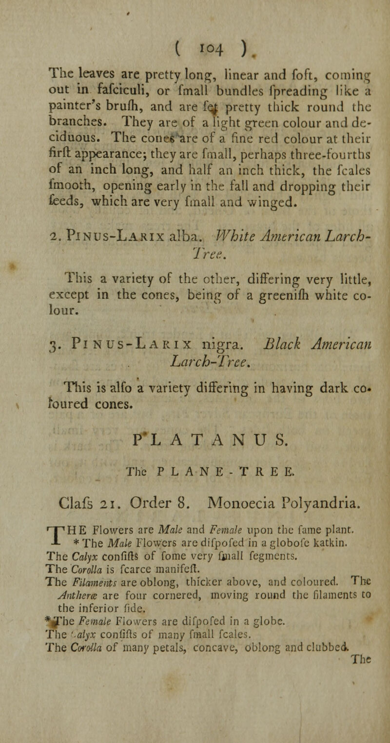 The leaves are pretty long, linear and foft, coming out in fafciculi, or fmall bundles fpreading like a painter's brufh, and are fe^ pretty thick round the branches. They are of a light green colour and de- ciduous. The cones are of a fine red colour at their firft appearance; they are fmall, perhaps three-fourths of an inch long, and half an inch thick, the fcales fmooth, opening early in the fall and dropping their feeds, which are very fmall and winged. i. Pinus-Larix alba. White American Larch- Tree. This a variety of the other, differing very little, except in the cones, being of a greenifh white co- lour. 3. Pinus-Larix nigra. Black American Larch-Tree. This is alfo a variety differing in having dark co- loured cones. P'L A T A N U S. The PLANE-TREE. Clafs 21. Order 8. Monoecia Polyandria. THE Flowers are Male and Female upon the fame plant. * The Male Flowers are difpofed in a globofe katkin. The Calyx confifts of fome very iinall fegments. The Corolla is fcarce manifefl. The Filaments are oblong, thicker above, and coloured. The Anthem are four cornered, moving round the filaments to the inferior fide. *(jrhe Female Flowers are difpofed in a globe. The '-alyx con (ills of many fmall fcales. The Corolla of many petals, concave, oblong and clubbed