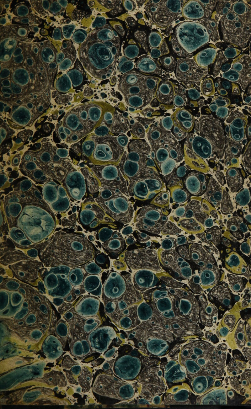 K* 5^0 ''N^^'lilW 55 S