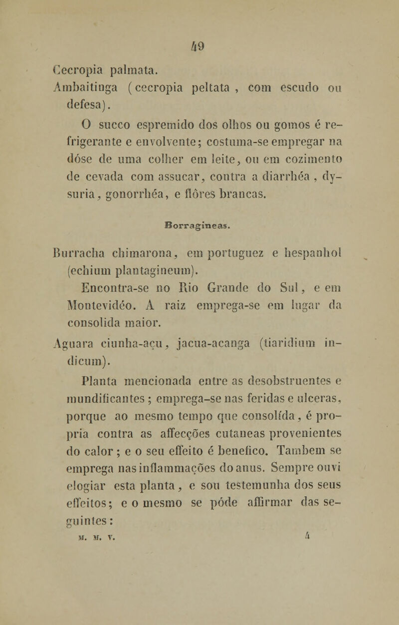 Cecropia palmata. Ambaitinga (cecropia peltata , com escudo ou defesa). O sueco espremido dos olhos ou gomos é re- frigerante e envolvente; costuma-seempregar na dose de uma colher em leite, ou em cozimento de cevada com assucar, contra a diarrhéa , dy- suria, gonorrhéa, e flores brancas. Borragineas. Burracha chimarona, em portuguez e hespanhol (echium plantagineum). Encontra-se no Rio Grande do Sul, e em Montevideo. A raiz emprega-se em lugar da consolida maior. Aguara eiunha-açu, jacua-acanga (tiaridium in- dicum). Planta mencionada entre as desobstruentes e mundificantes ; emprega-se nas feridas e ulceras, porque ao mesmo tempo que consolida, é pró- pria contra as affecções cutâneas provenientes do calor ; e o seu effeito é benéfico. Também se emprega nasinílammaçõcs do anus. Sempre ouvi elogiar esta planta, e sou testemunha dos seus effeitos; e o mesmo se pode affirmar das se- guintes: H. M. v. à