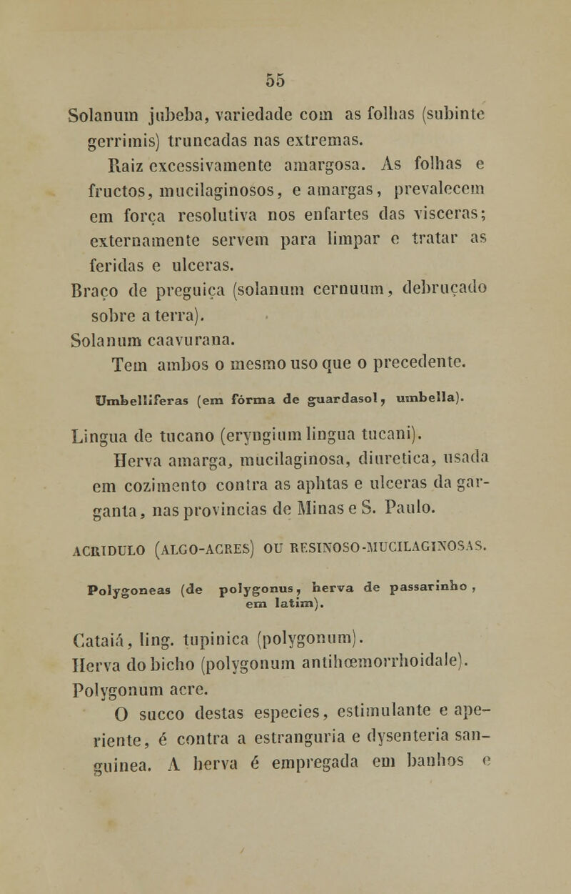 Solanum jubeba, variedade coin as folhas (subinte gerrimis) truncadas nas extremas. Raiz excessivamente amargosa. As folhas e fruetos, mucilaginosos, e amargas, prevalecem em força resolutiva nos enfartes das vísceras; externamente servem para limpar e tratar as feridas e ulceras. Braço de preguiça (solanum cernuum, debruçado sobre aterra). Solanum caavurana. Tem ambos o mesmo uso que o precedente. Umbeliiferas (em forma de guardasol, umbella). Lingua de tucano (eryngium língua tucani). Herva amarga, mucilaginosa, diurética, usada em cozimento contra as aphtas e ulceras da gar- ganta, nas províncias de Minas e S. Paulo. ACRIDULO (ALGO-ACRES) OU RESINOSO-MUCILAGINOSA S. Polygoneas (de polygonus, herva de passarinho , em latim). Gataiá, ling. tupinica (polygonum). Herva do bicho (polygonum antilioeinoiTlioidale). Polygonum acre. O sueco destas espécies, estimulante e ape- riente, é contra a estranguria e dysenteria san- guínea. A herva é empregada em banhos e
