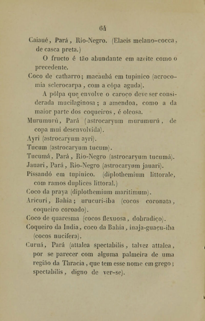 Caiaué, Pará, Ilio-Negro. (Elaeis melano-cocca, de casca preta.) O fructo é tão abundante em nztitc como o precedente. Coco de catharro; maca ubá em tnpinico (acroco- mia sclerocarpa , com a copa aguda). A polpa que envolve o caroço deve ser consi- derada mucilaginosa ; a amêndoa, como a da maior parte dos coqueiros , é oleosa. Murumuiú, Tara (aslrocaryum murumurú , de copa mui desenvolvida). Ayri (astrocaryum ayri). Tucum (astrocaryum tucum). Tucumá, Pará, Rio-Negro (astrocaryum tucumá). Jauari, Pará, Rio-Negro (astrocaryum jauari). Pissandó em tupiuico. (diplotliemium littorale, com ramos dúplices littoral.) Coco da praya (diplotliemium maritimum). Aricuri, Rabia; urucuri-iba (cocos coronala, coqueiro coroado). Coco de quaresma (cocos ílexuosa, dobradiço). Coqueiro da índia, coco da Rabia, inaja-guaçu-iba (cocos nucifera). Curuá, Pará (attalea spectabilis, talvez attalea, por se parecer com alguma palmeira de uma região da Thracia , que tem esse nome cm grego; spectabilis, digno de ver-sc).