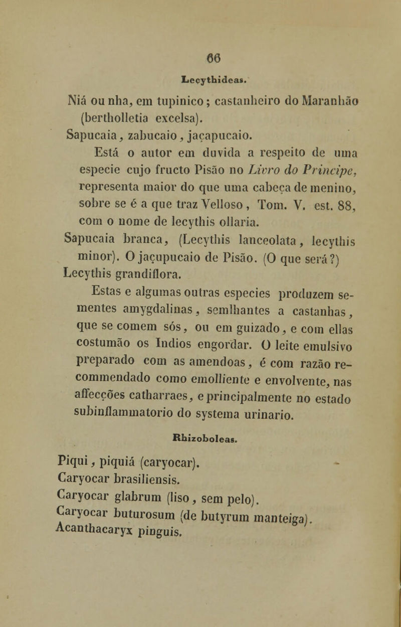 Lecythideas. Niá ou nha, cm tupinico; castanheiro do Maranhão (berthollctia excelsa). Sapucaia, zabucaio, jaçapucaio. Está o autor eui duvida a respeito de uma espécie cujo frueto Pisão no Livro do Príncipe, representa maior do que uma cabeça de menino, sobre se é a que traz Velloso , Tom. V. est. 88, com o nome de lecythis ollaria. Sapucaia branca, (Lecythis lanceolata, lecythis minor). O jaçupucaio de Pisão. (O que será?) Lecythis grandiflora. Estas e algumas outras espécies produzem se- mentes amygdalinas, semlhantes a castanhas, que se comem sós, ou em guizado, e com ellas costumão os índios engordar. O leite emulsivo preparado com as amêndoas, é com razão re- commendado como emolliente e envolvente, nas affecções catharraes, e principalmente no estado subinflaminatorio do systema urinário. Rhizoboleas. Piqui, piquiá (caryocar). Caryocar brasiliensis. Caryocar glabrum (liso, sem pelo). Caryocar buturosum (de butyrum manteiga). Acanthacaryx pinguis.